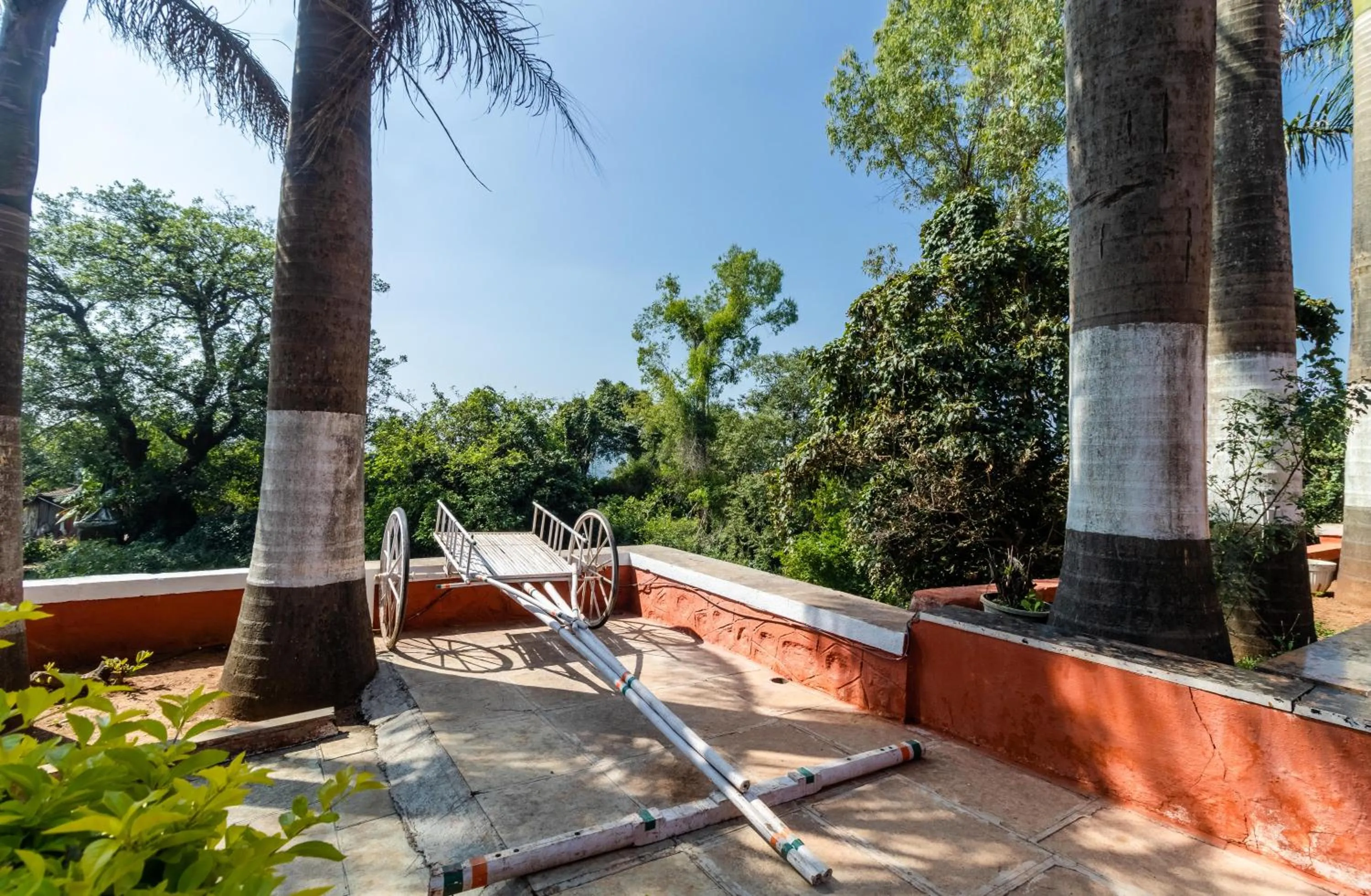 Garden in Saga Resort