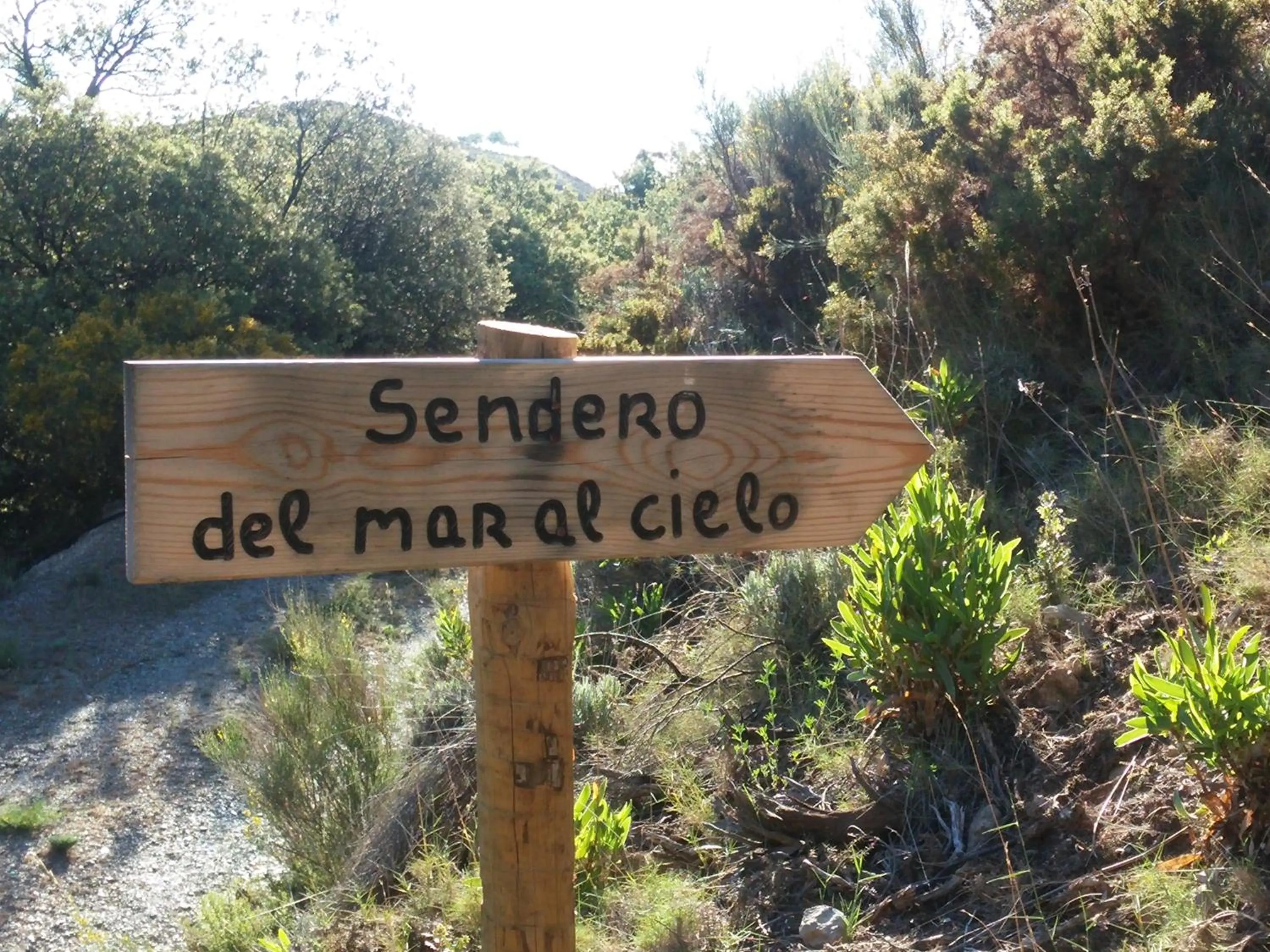 Hiking in Turismo Rural & SPA El Cercado