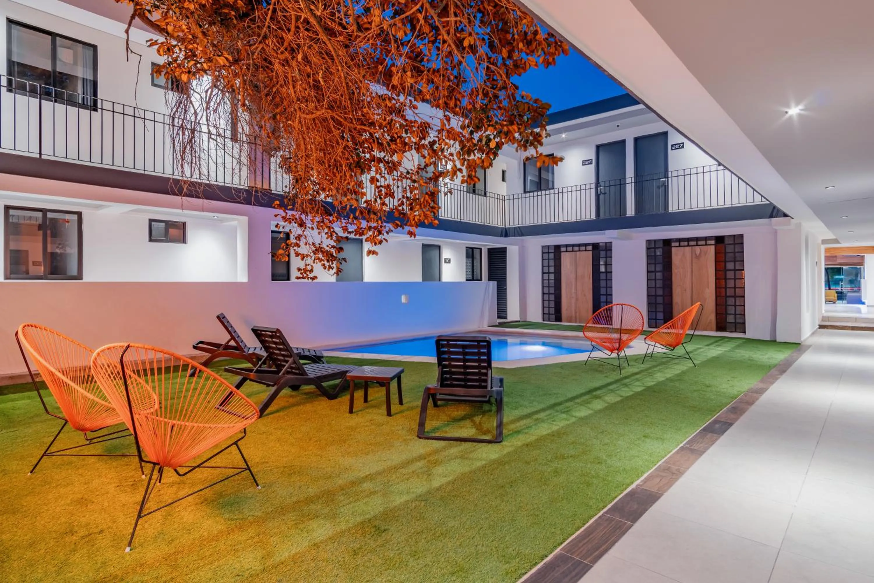 Garden view in Hotel Mody Merida