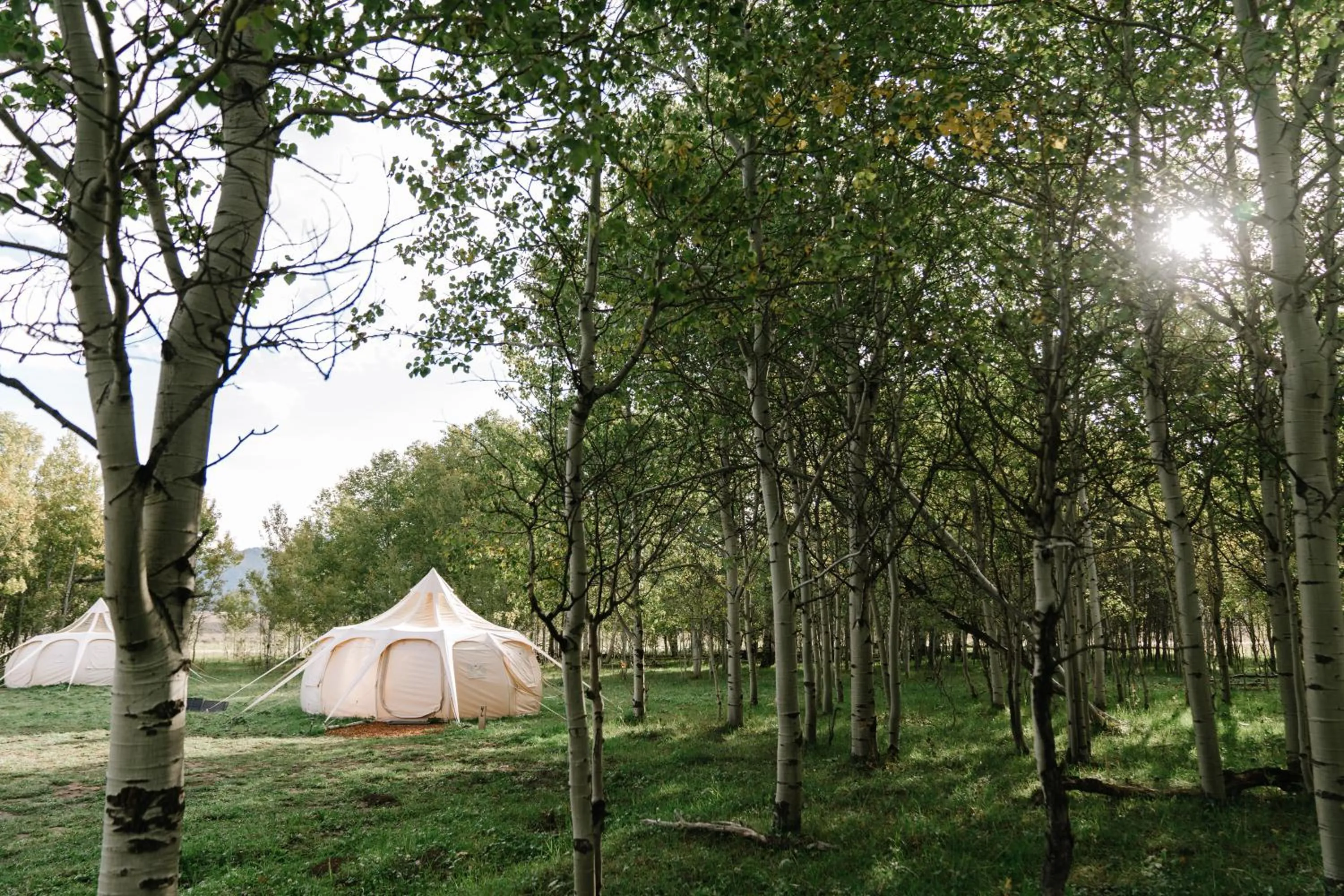 Natural landscape in Starlight Retreat Yellowstone