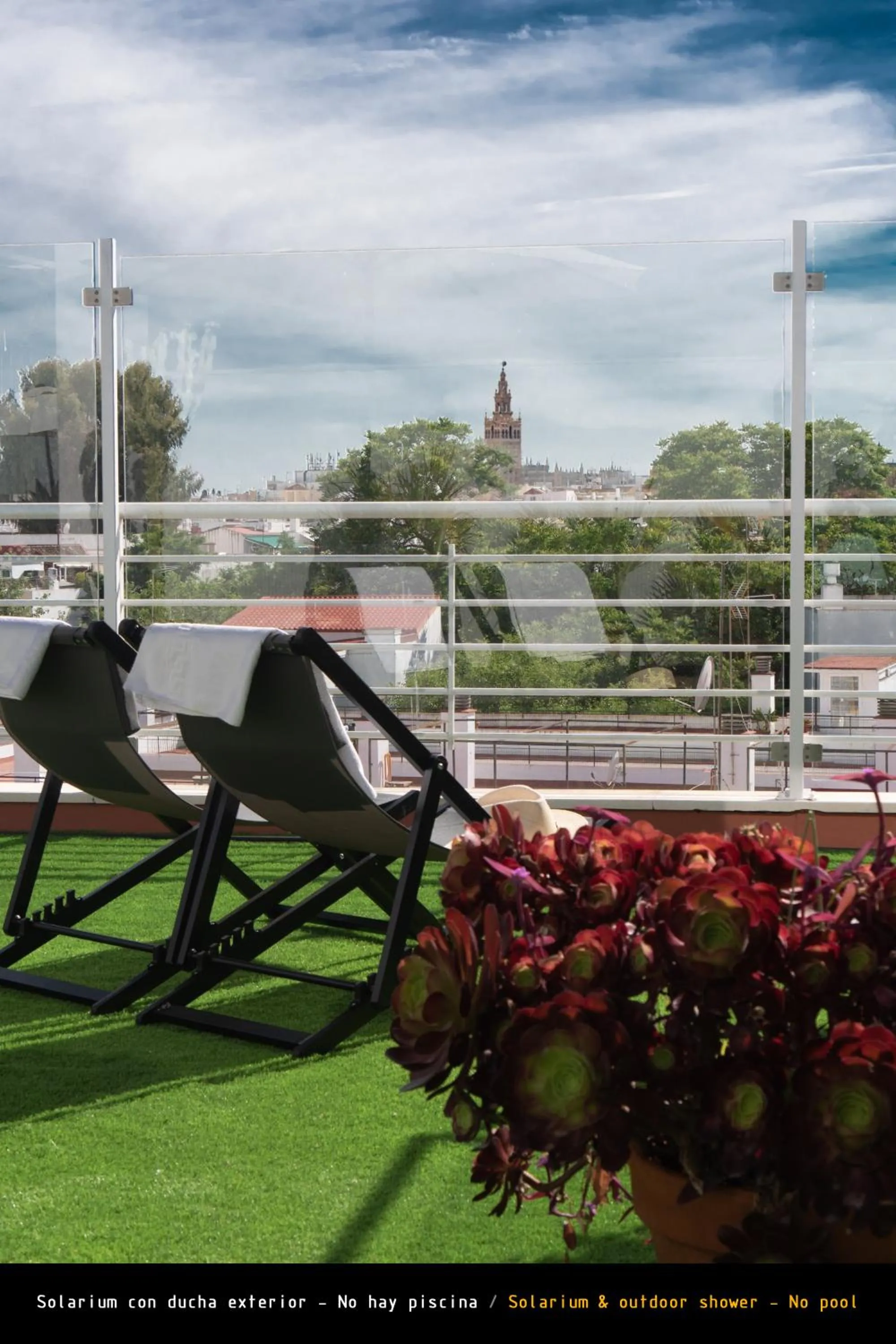 Solarium in Hotel Plaza Santa Lucía