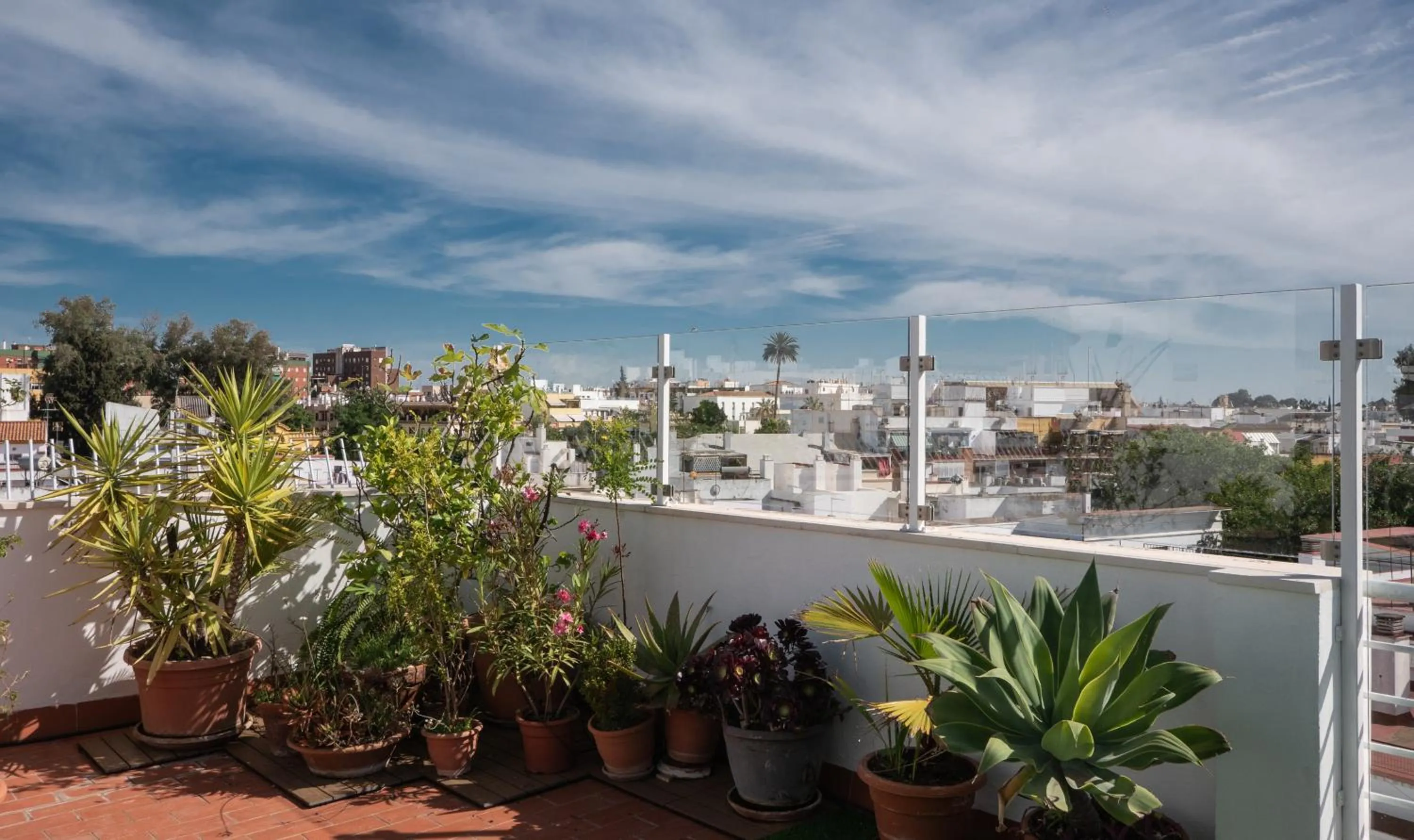 Balcony/Terrace in Hotel Plaza Santa Lucía