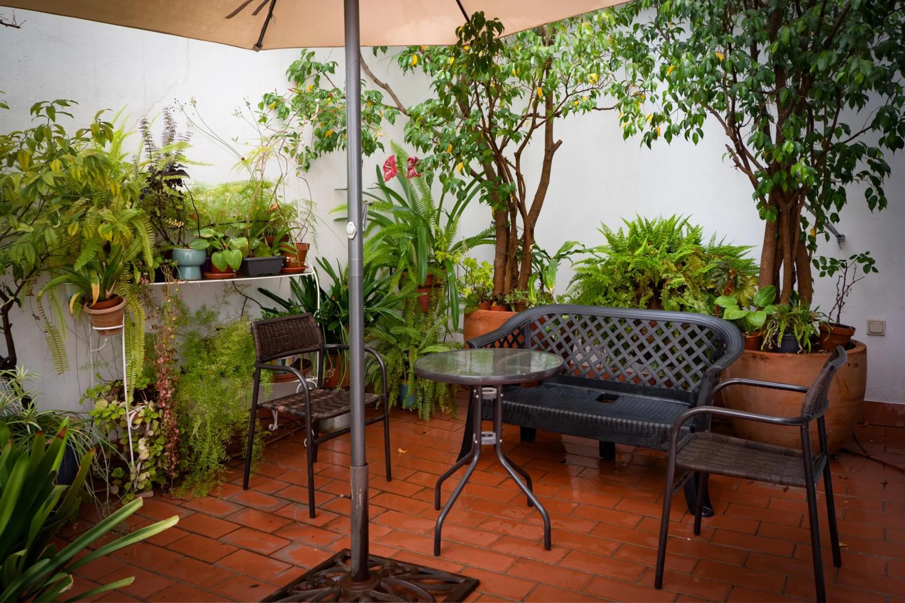 Patio in Hotel Plaza Santa Lucía