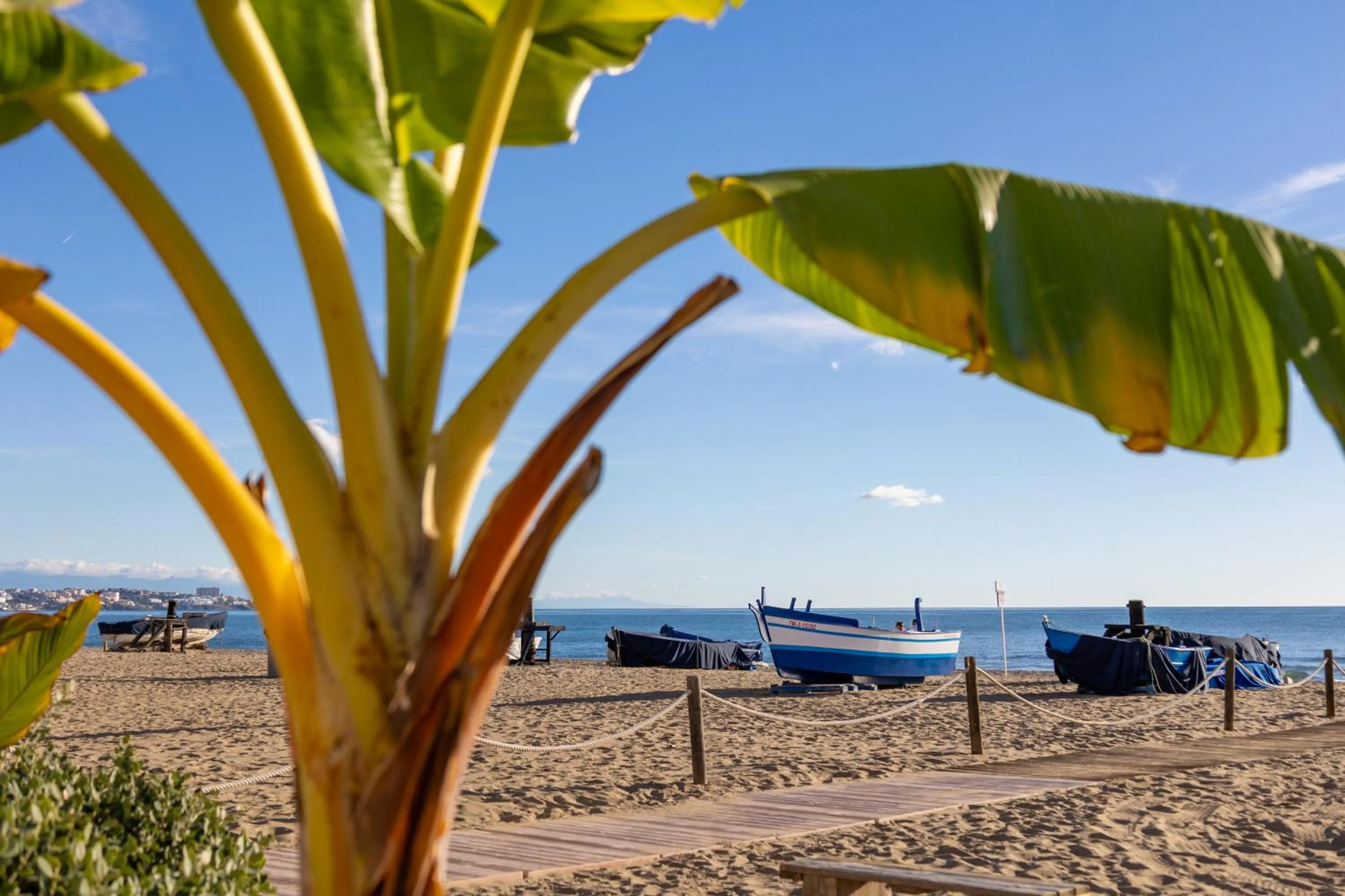 Apartamentos La Jabega