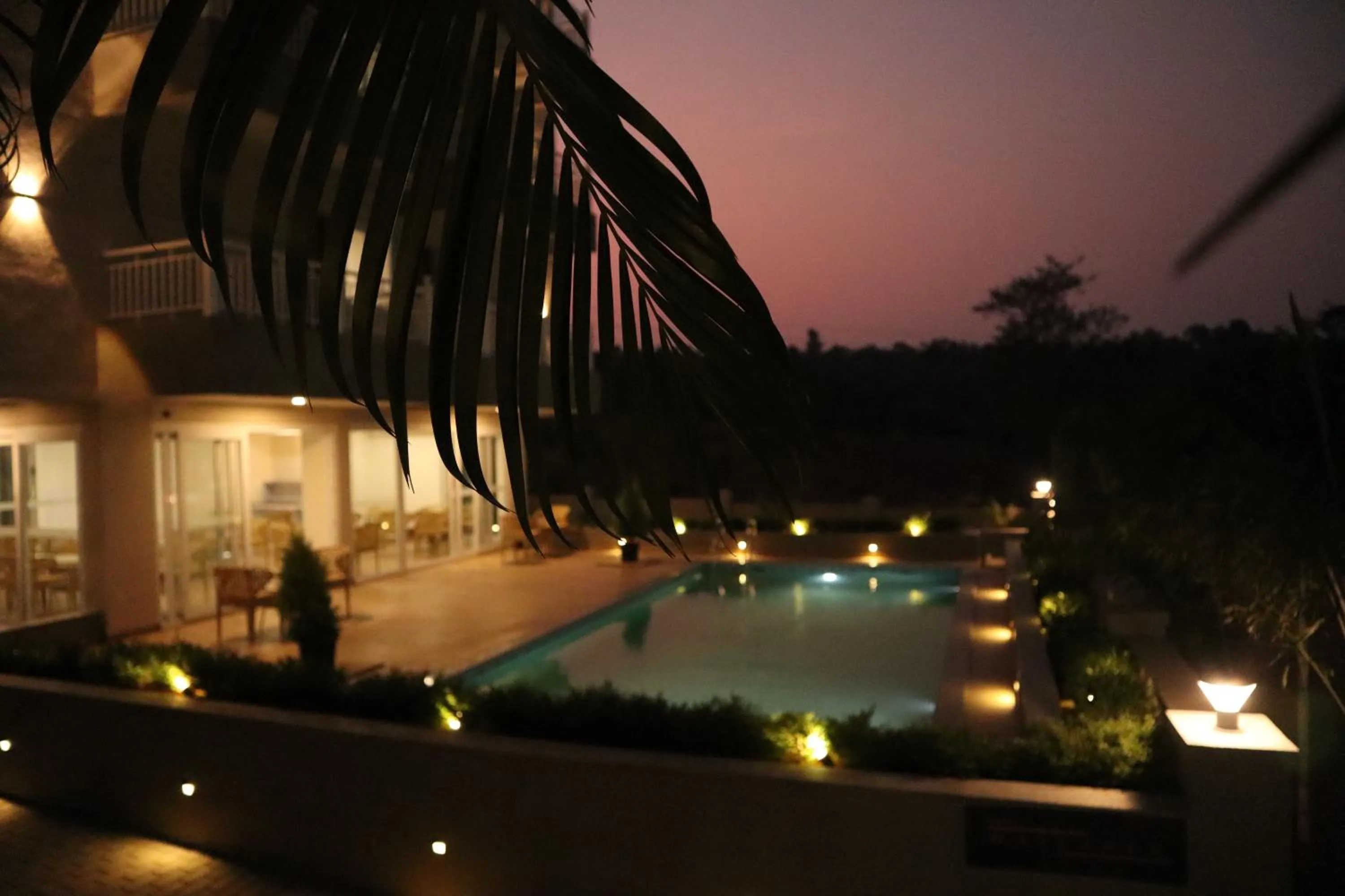 Night in Hotel Wayfarer