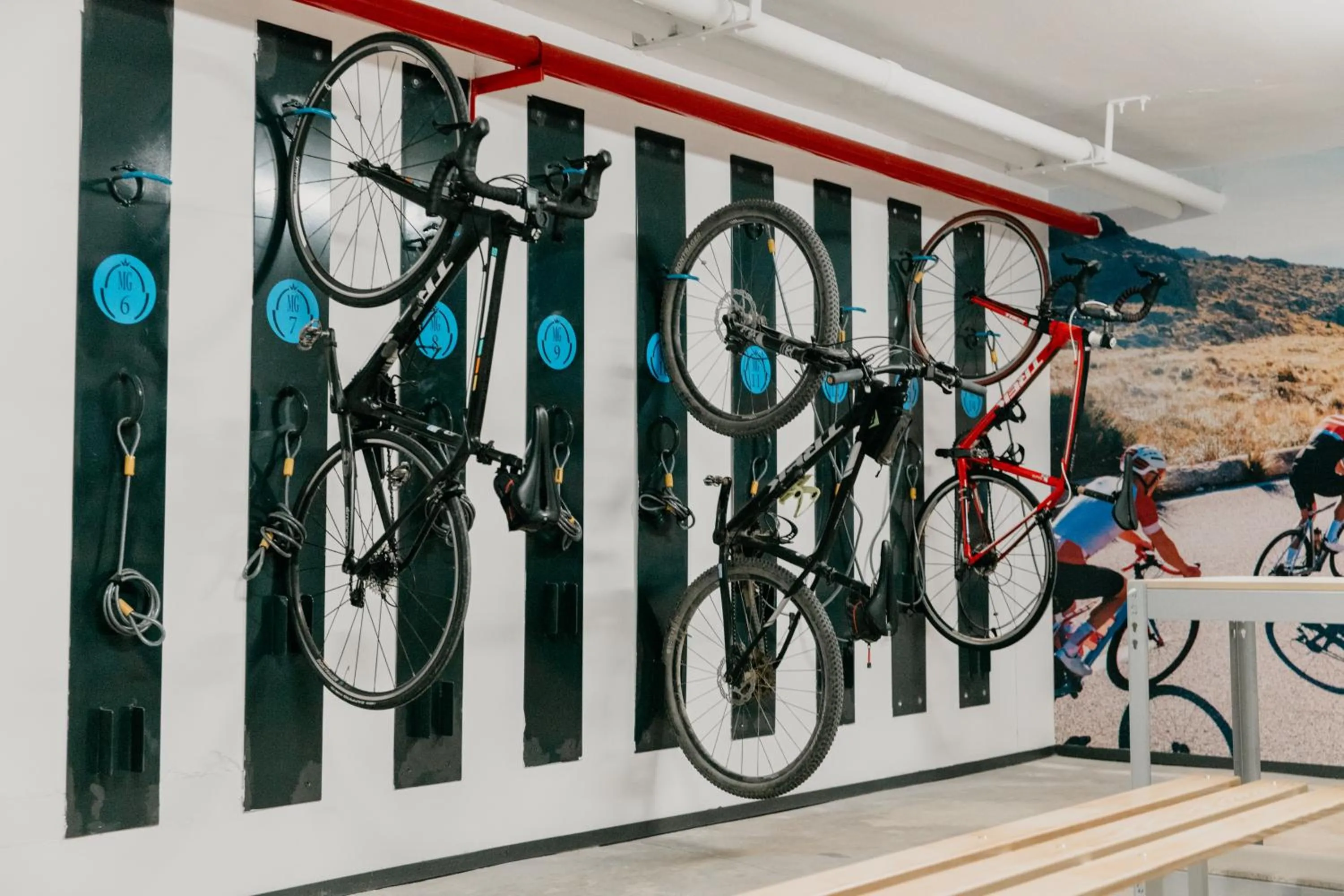 Activities in Mas Gallau