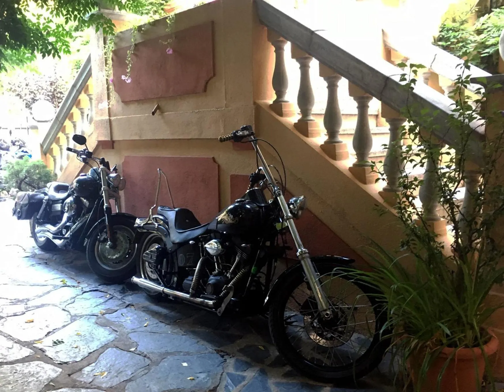 Activities in Hotel Andria