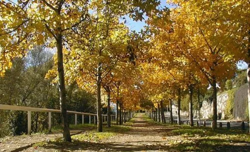 Natural landscape in Hotel Andria