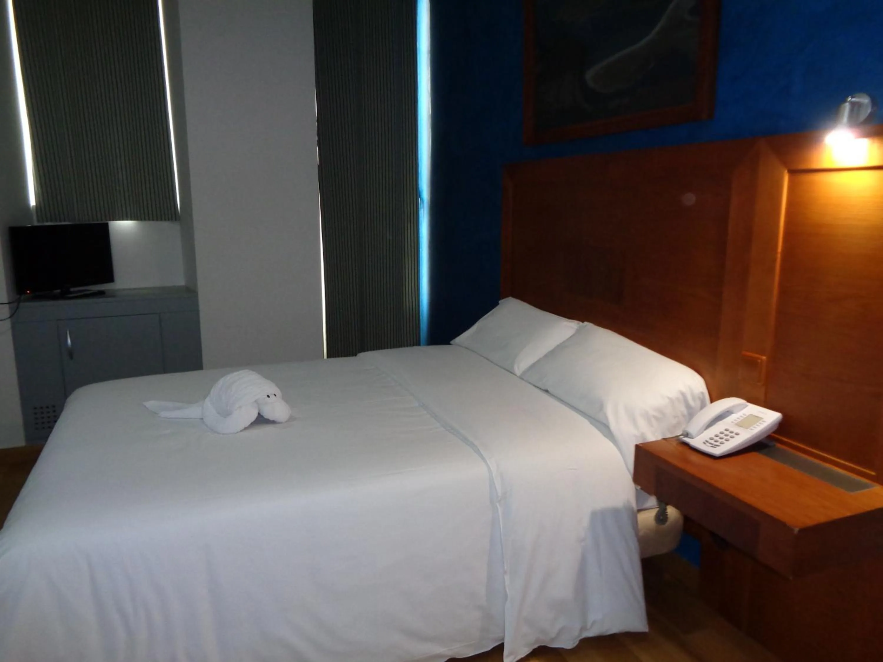 TV and multimedia in Hotel Villa De Betanzos