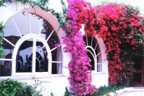 Facade/entrance in Cèsar