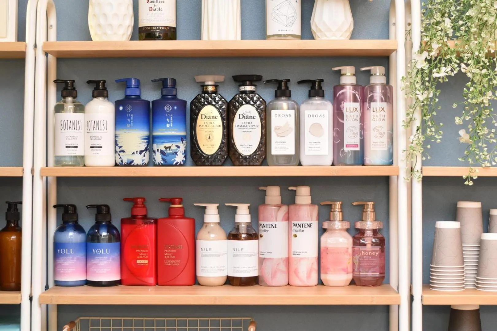 Lobby or reception in Comfy Stay Sarusawaike