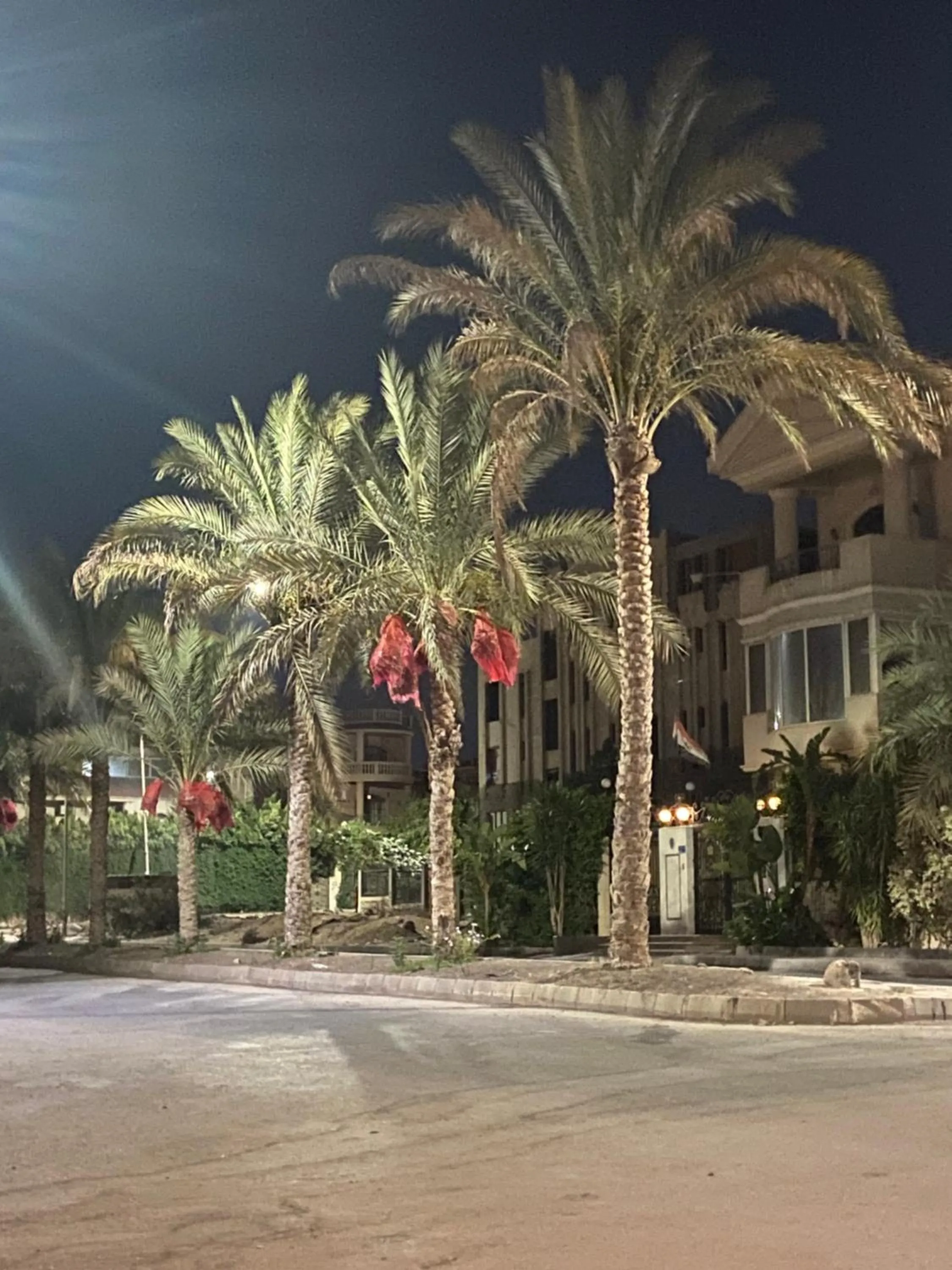 Neighbourhood in Maison 7