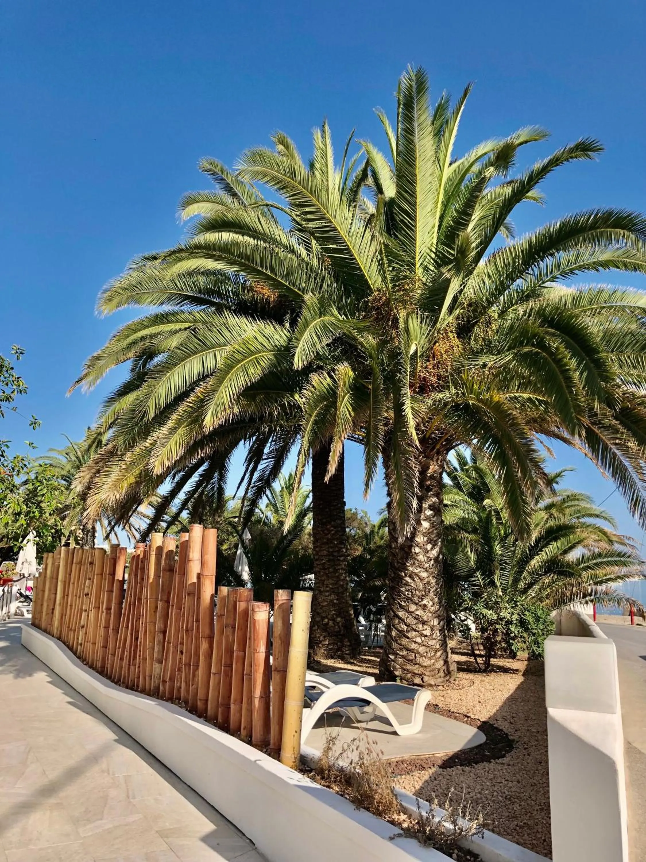 Property building in Hotel Tagomago