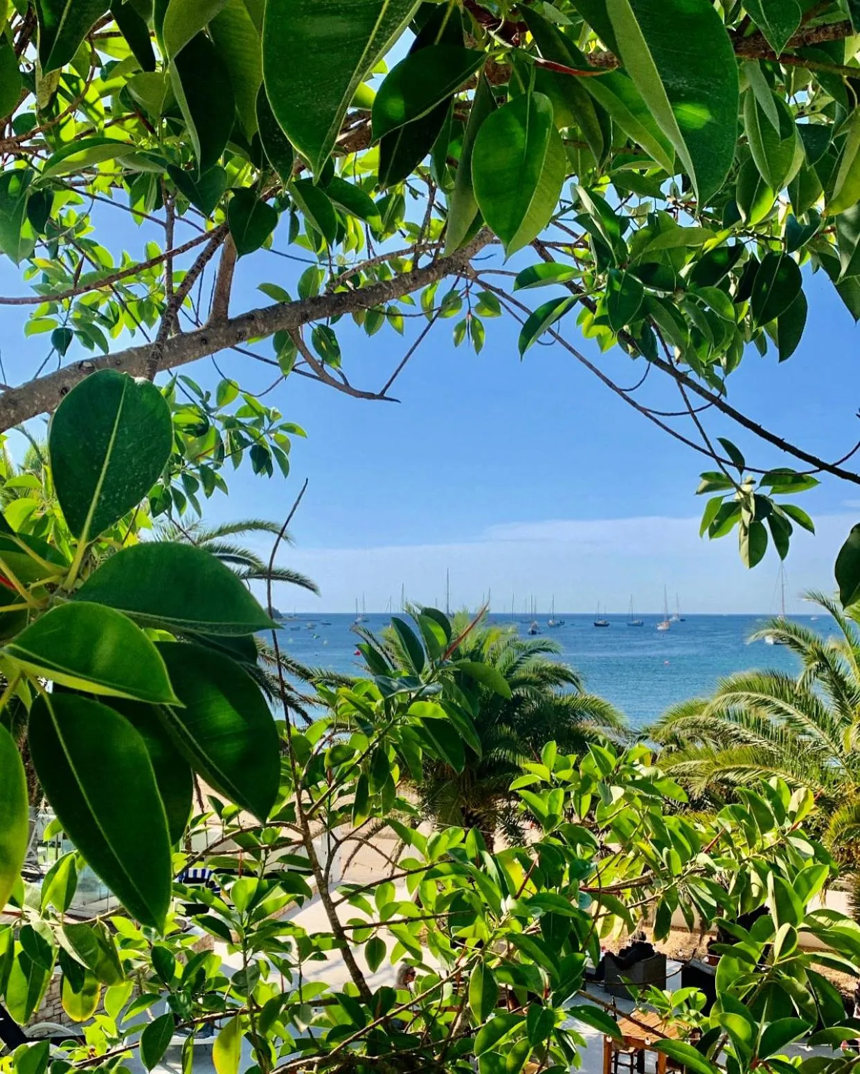 Property building in Hotel Tagomago