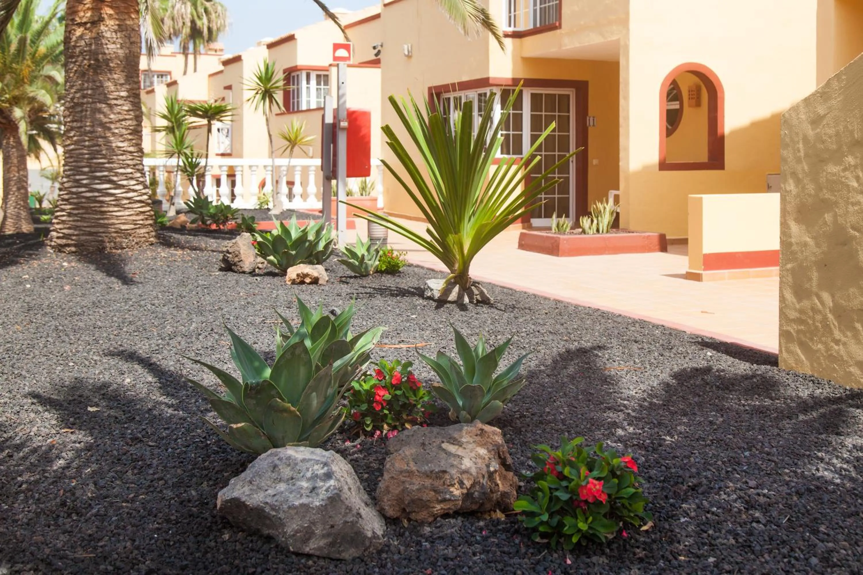 Garden in Apartamentos Maxorata Beach