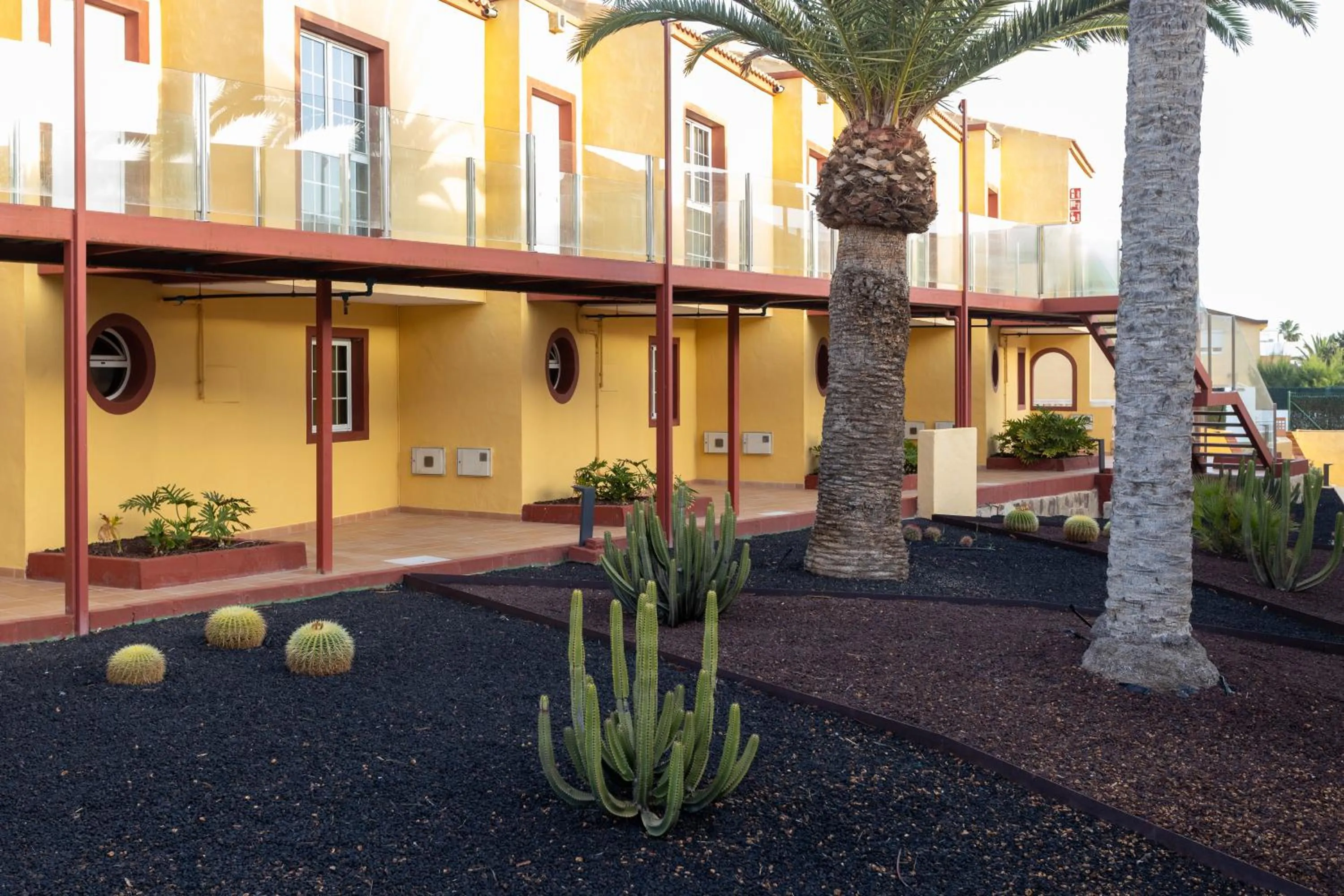 Garden in Apartamentos Maxorata Beach