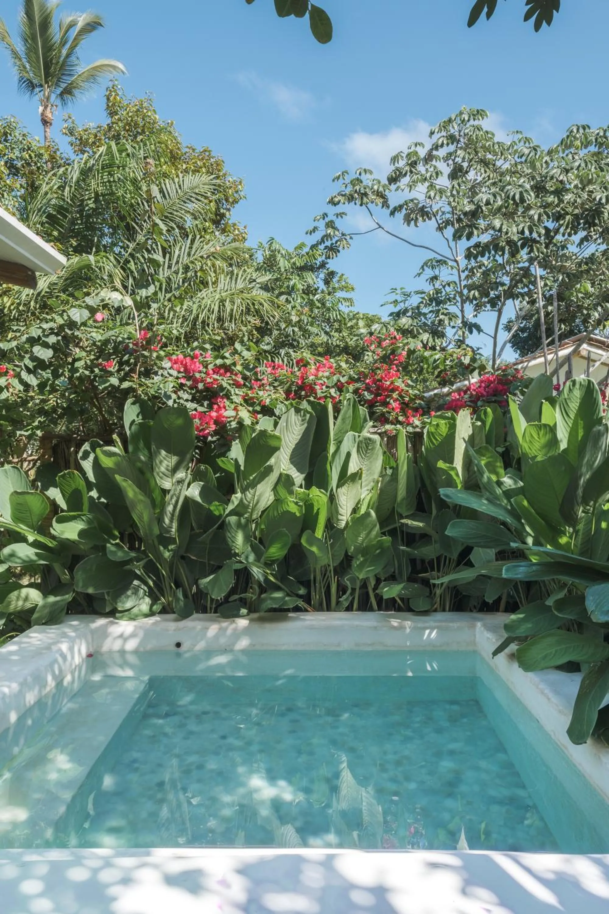 Vila Oyá - Praia de Algodões