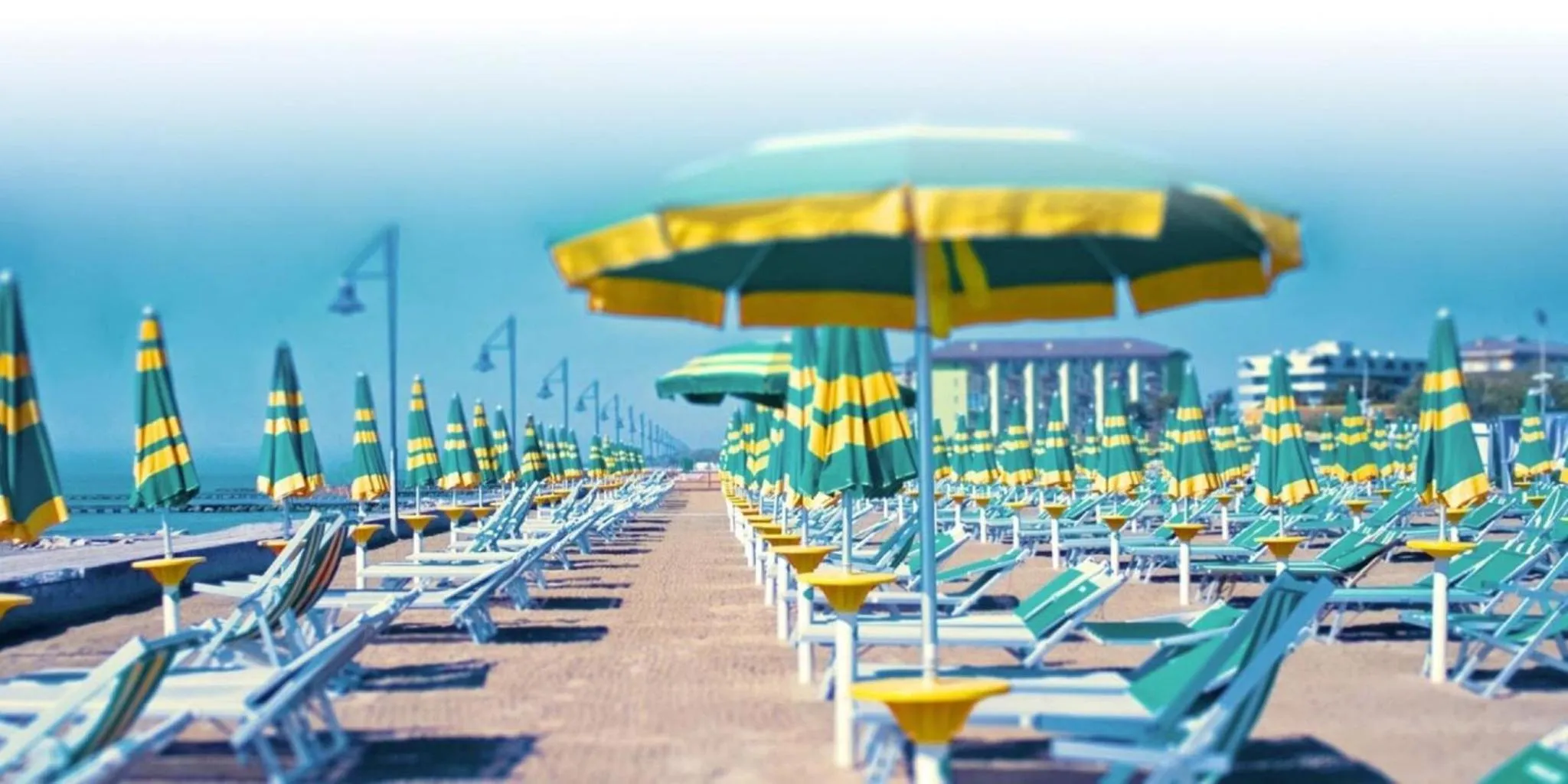 Natural landscape in Spacious apartment near the beach