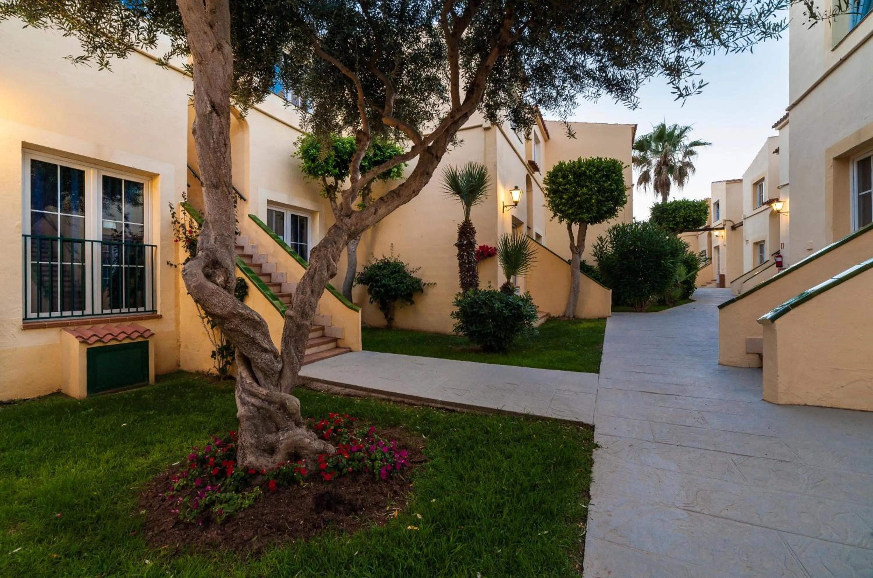 Garden in Globales Binimar