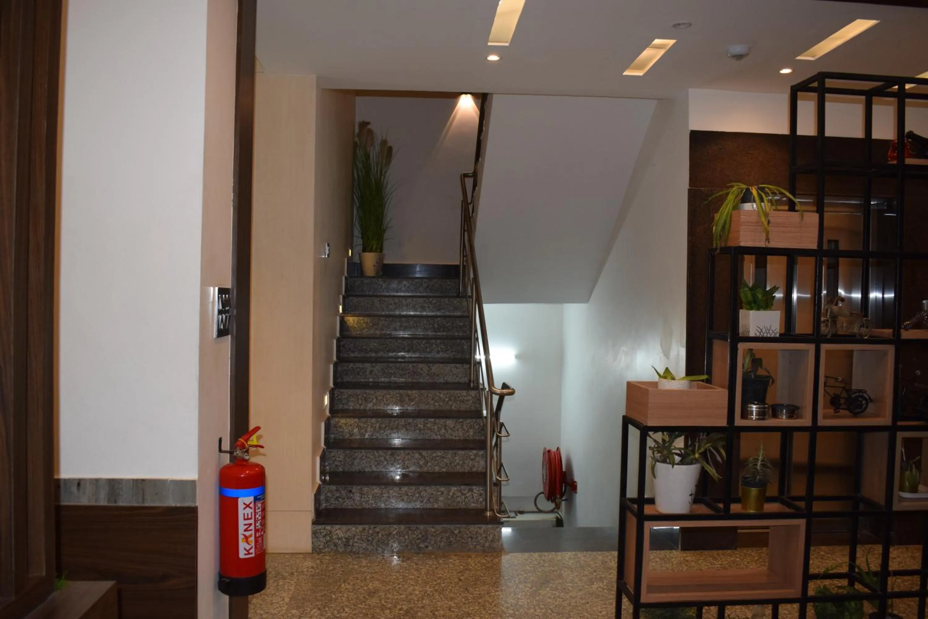 Area and facilities in Hotel New Centro