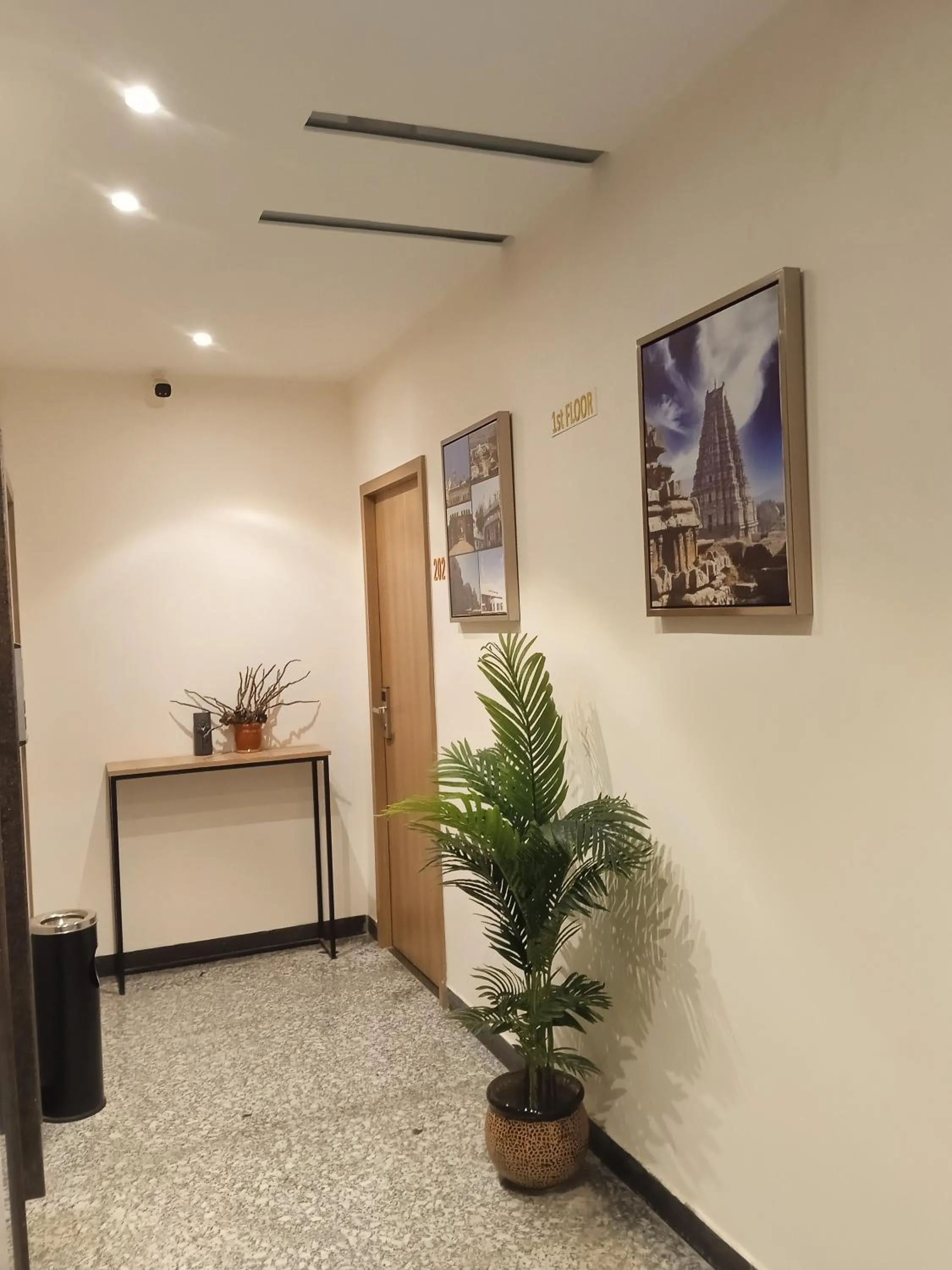 Natural landscape in Hotel New Centro