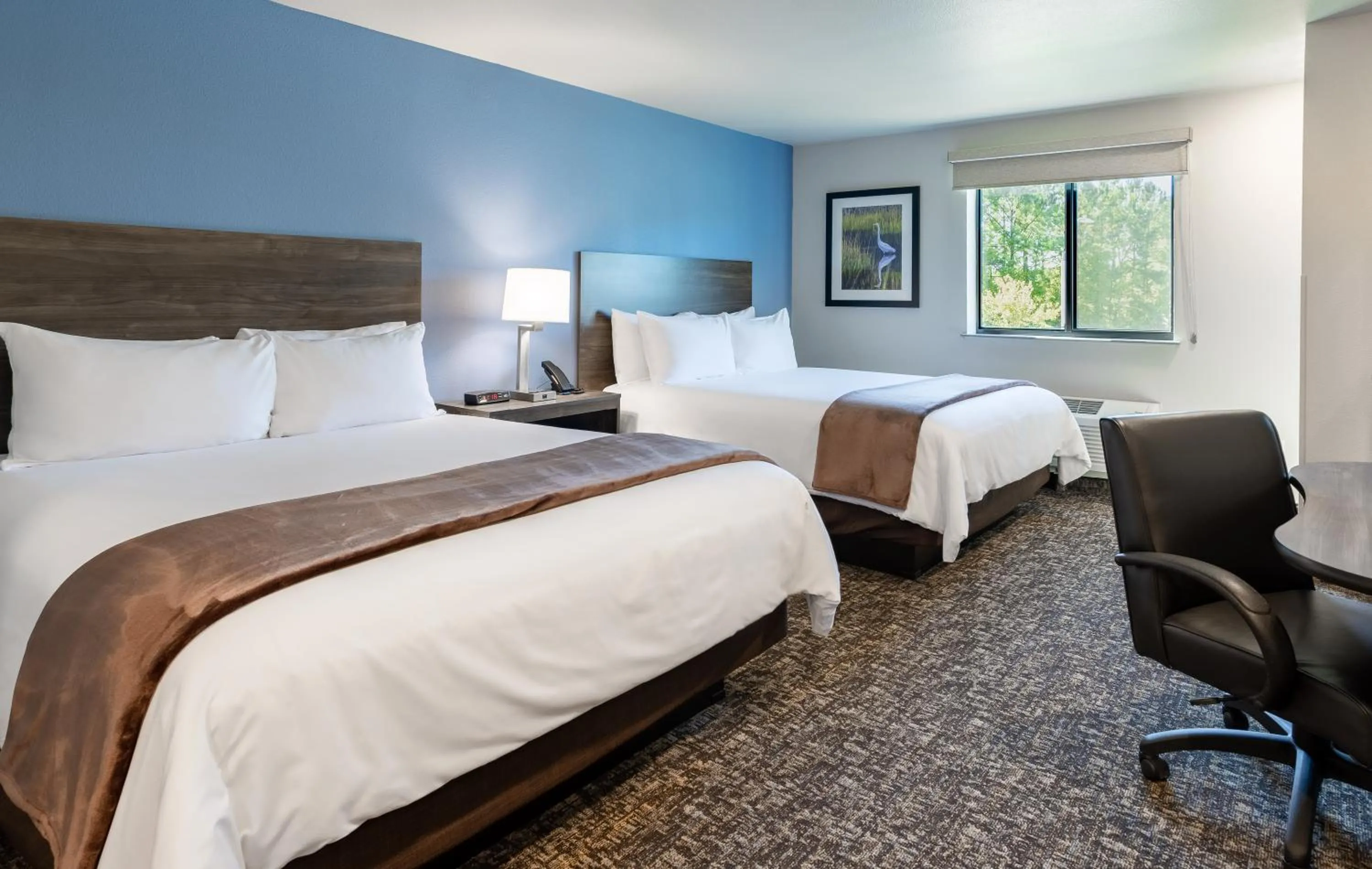 Bed in My Place Hotel-Jacksonville-Camp Lejeune, NC