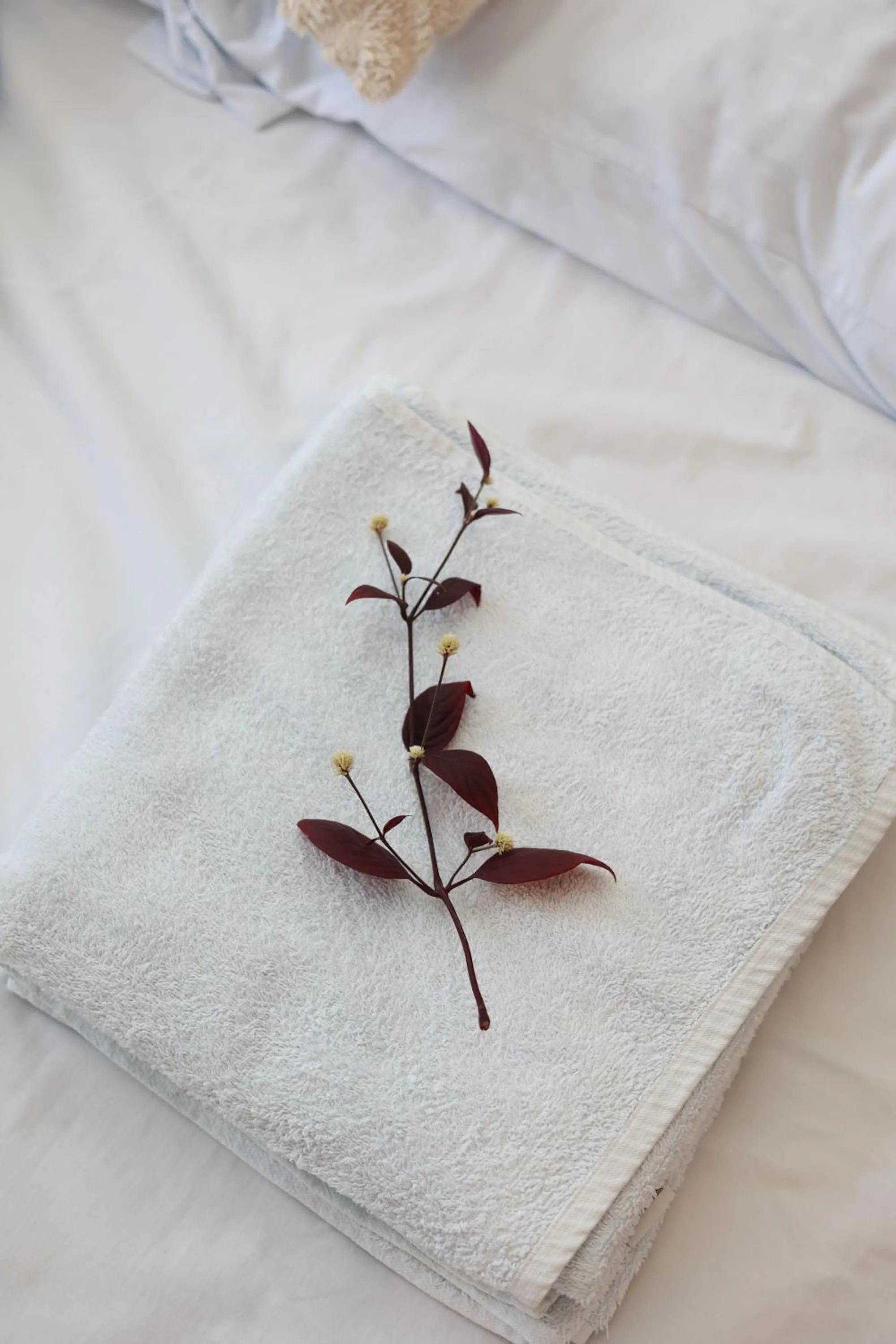 towels in Apartamento 22