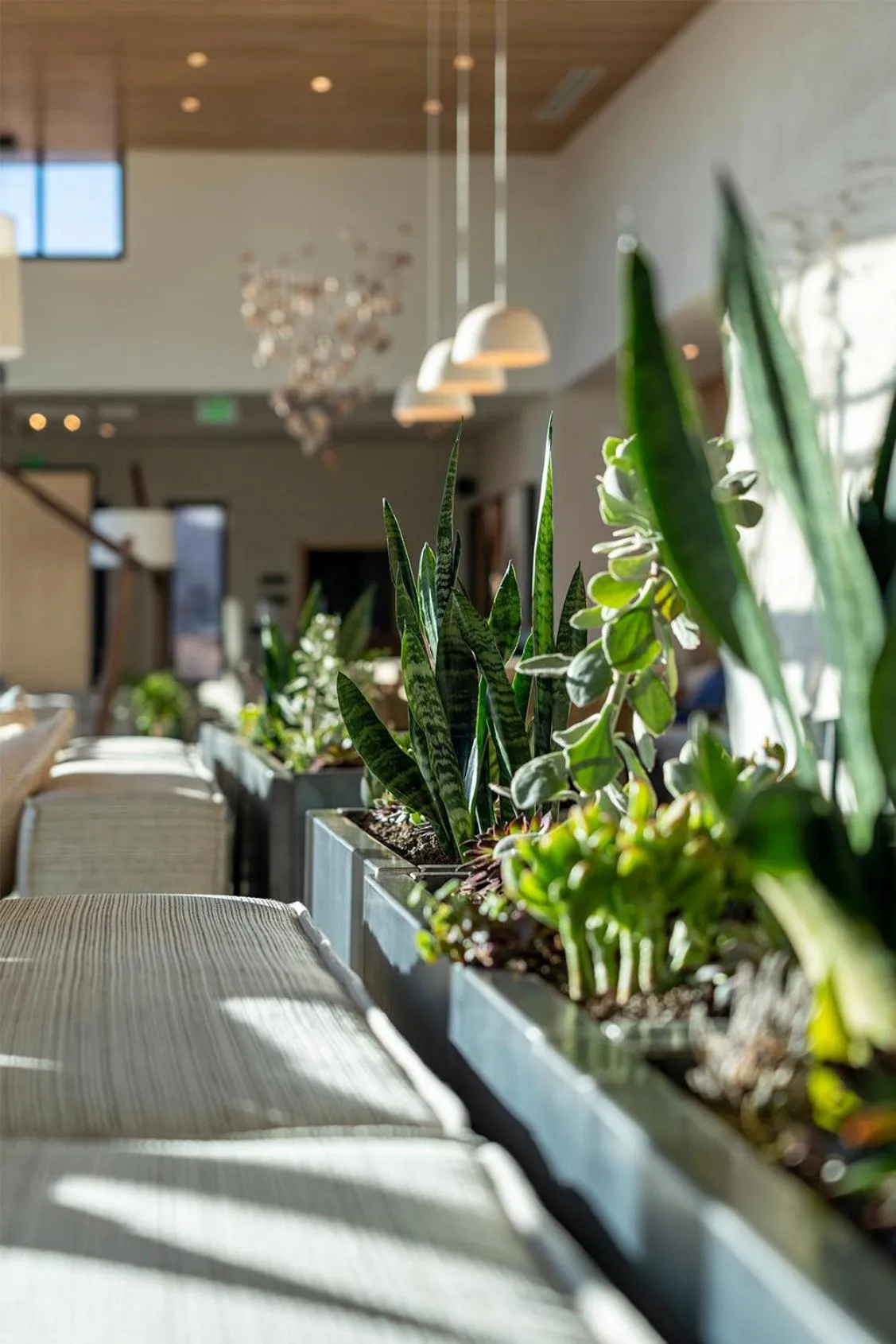 Lobby or reception in ULUM Moab