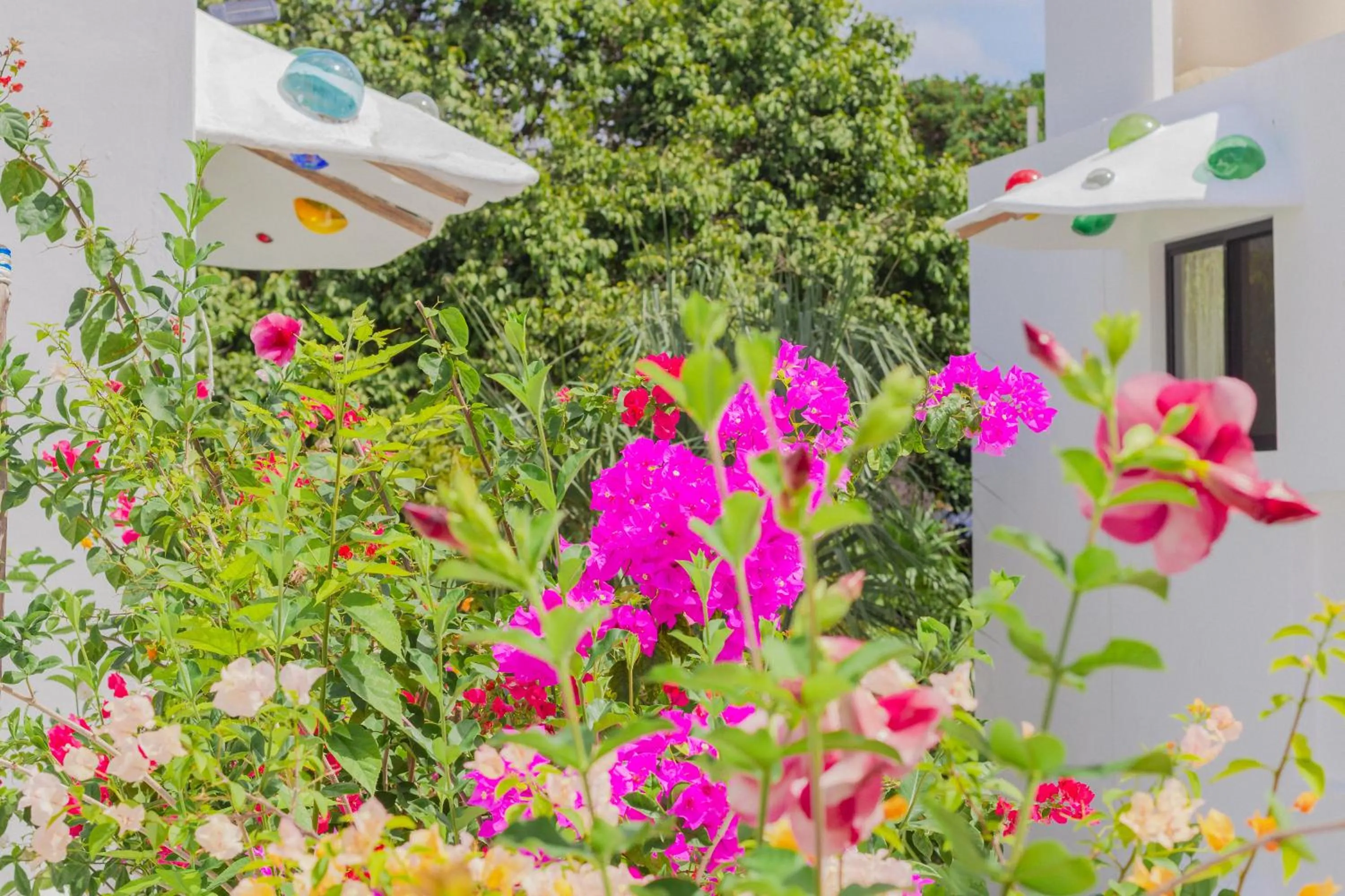 Property building in Maison Bacalar