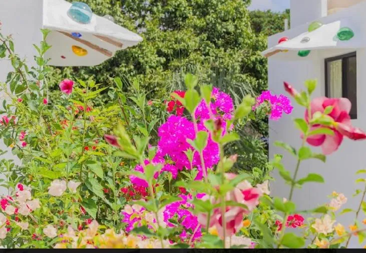 Property building in Maison Bacalar