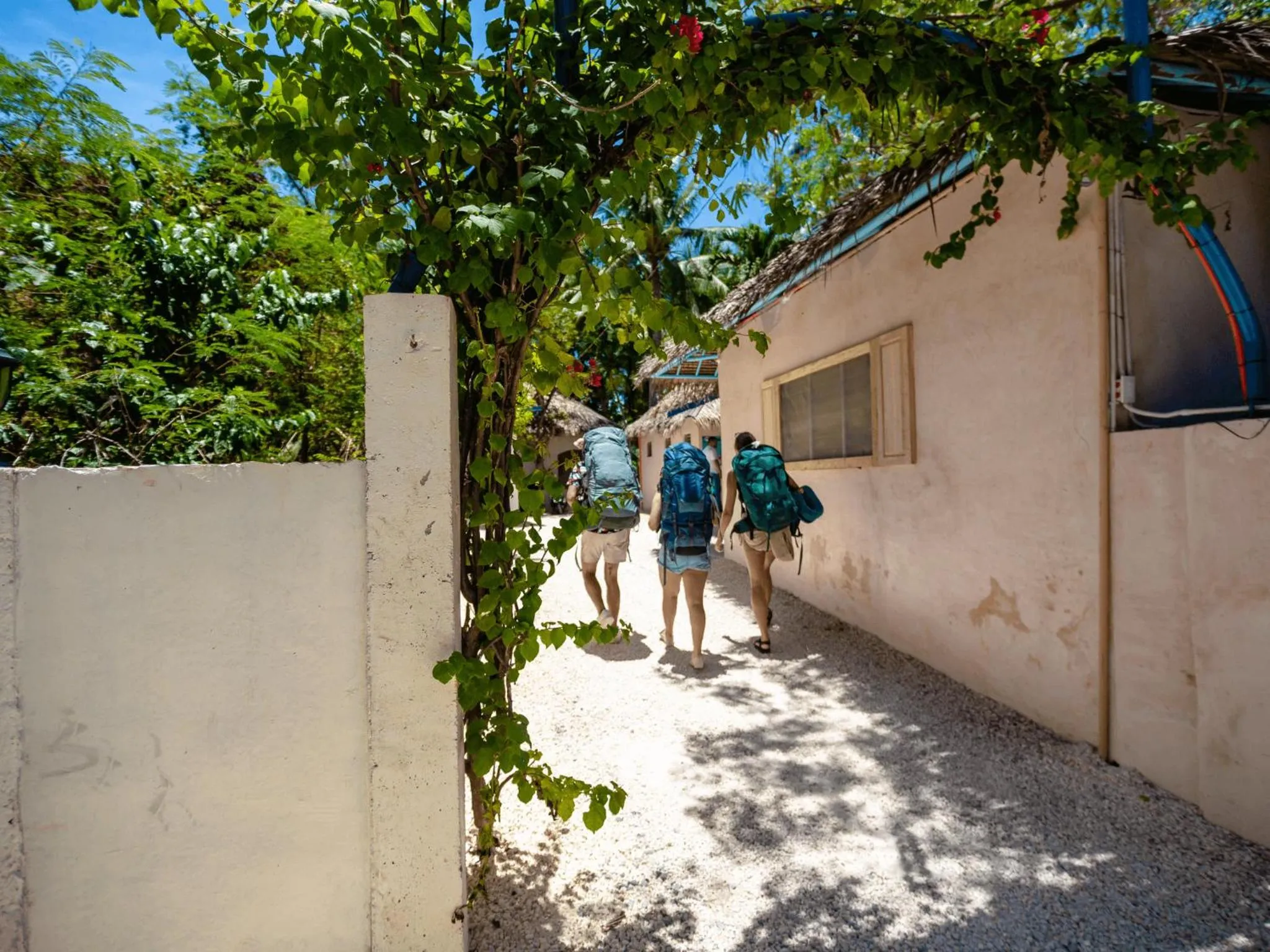 Facade/entrance in Mad Monkey Panglao