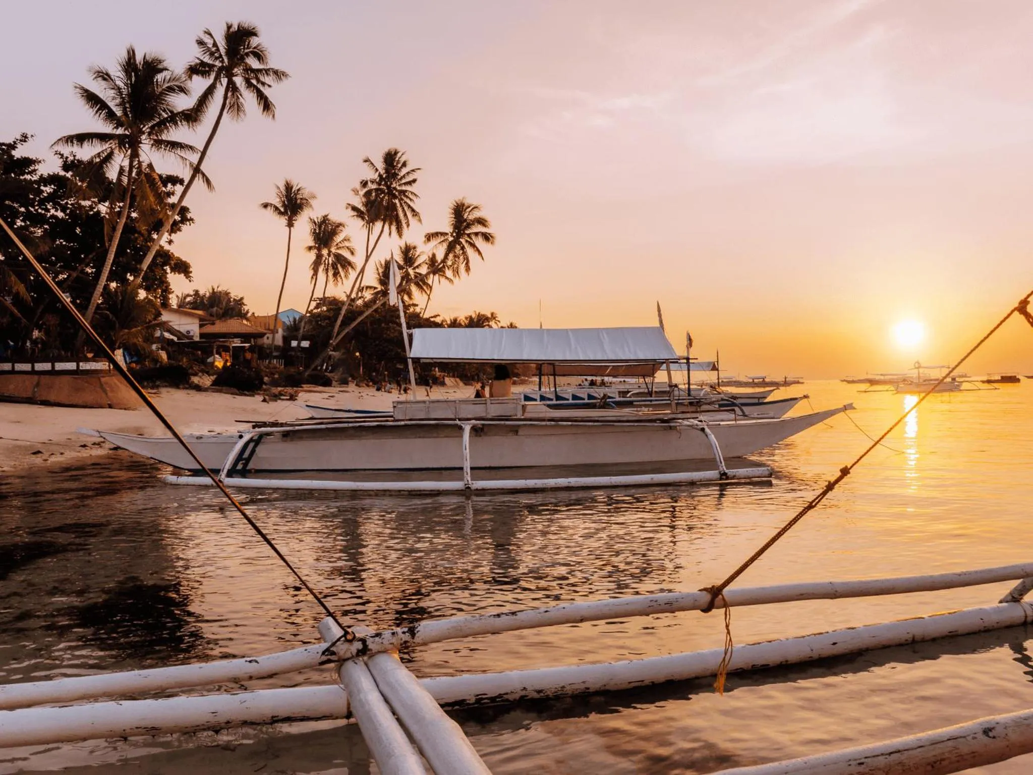Entertainment in Mad Monkey Panglao
