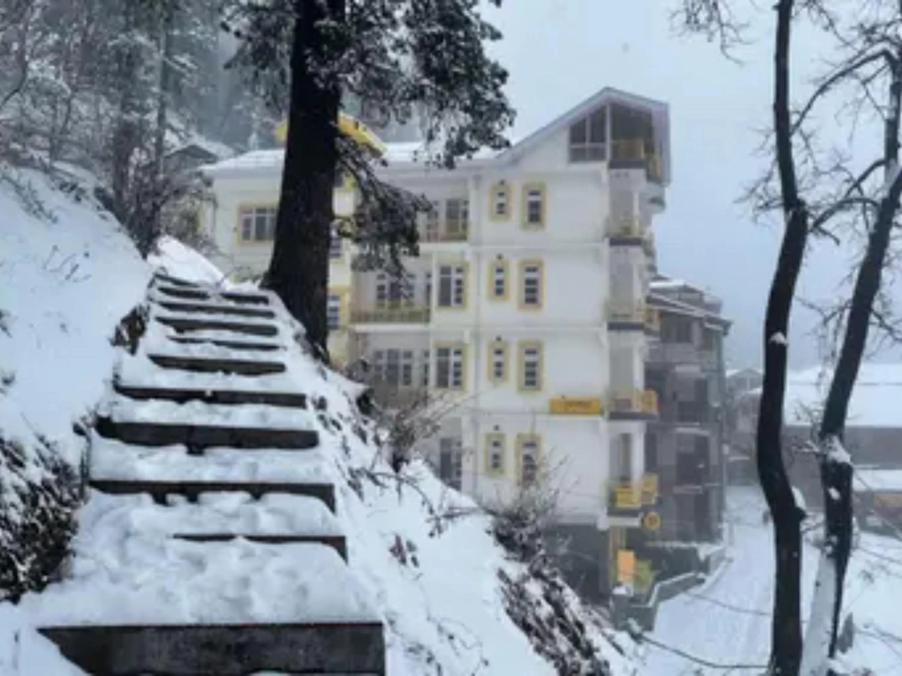 Property building in The Hosteller Narkanda