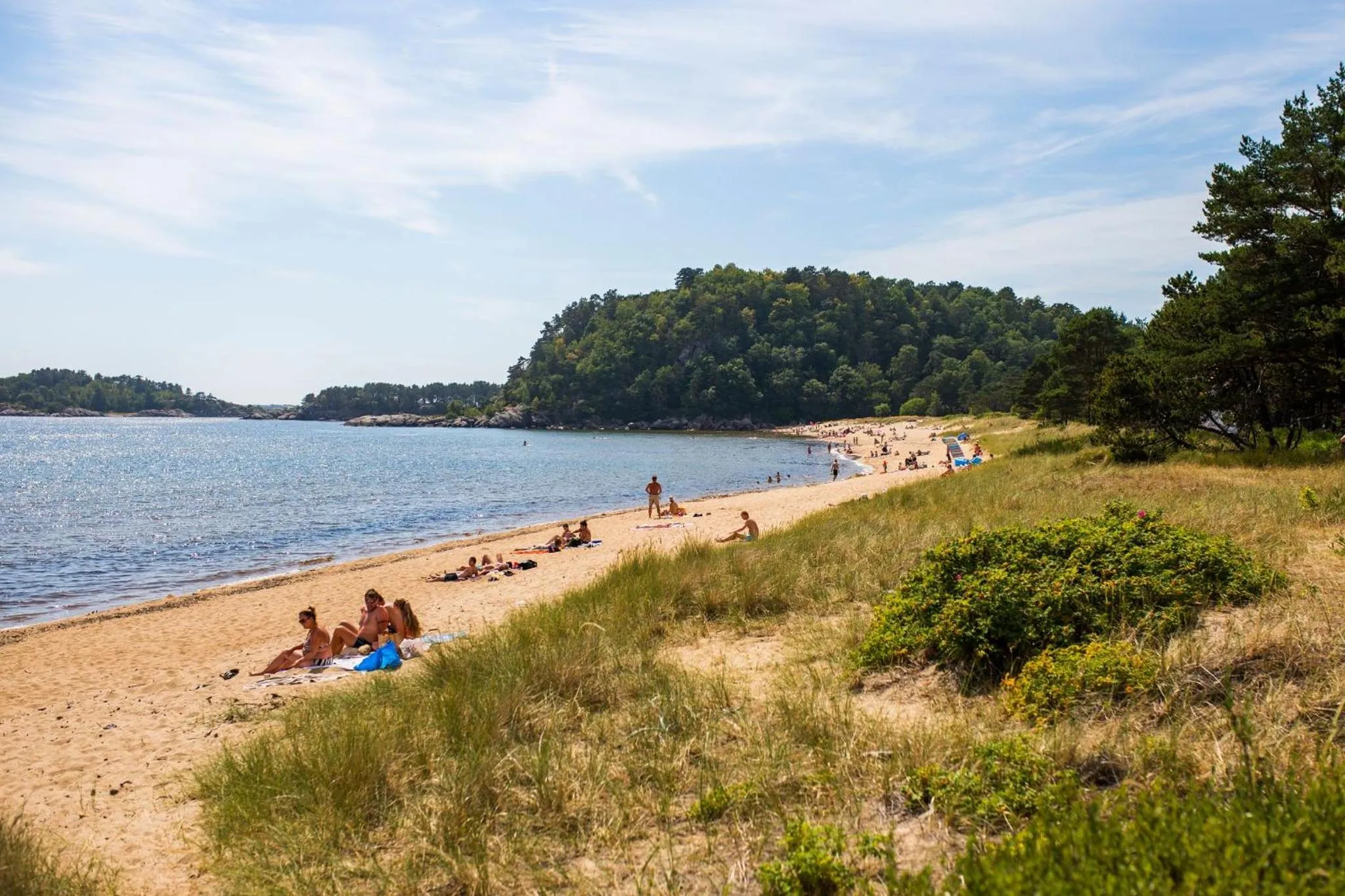 Nearby landmark in SKAP Hostel Mandal