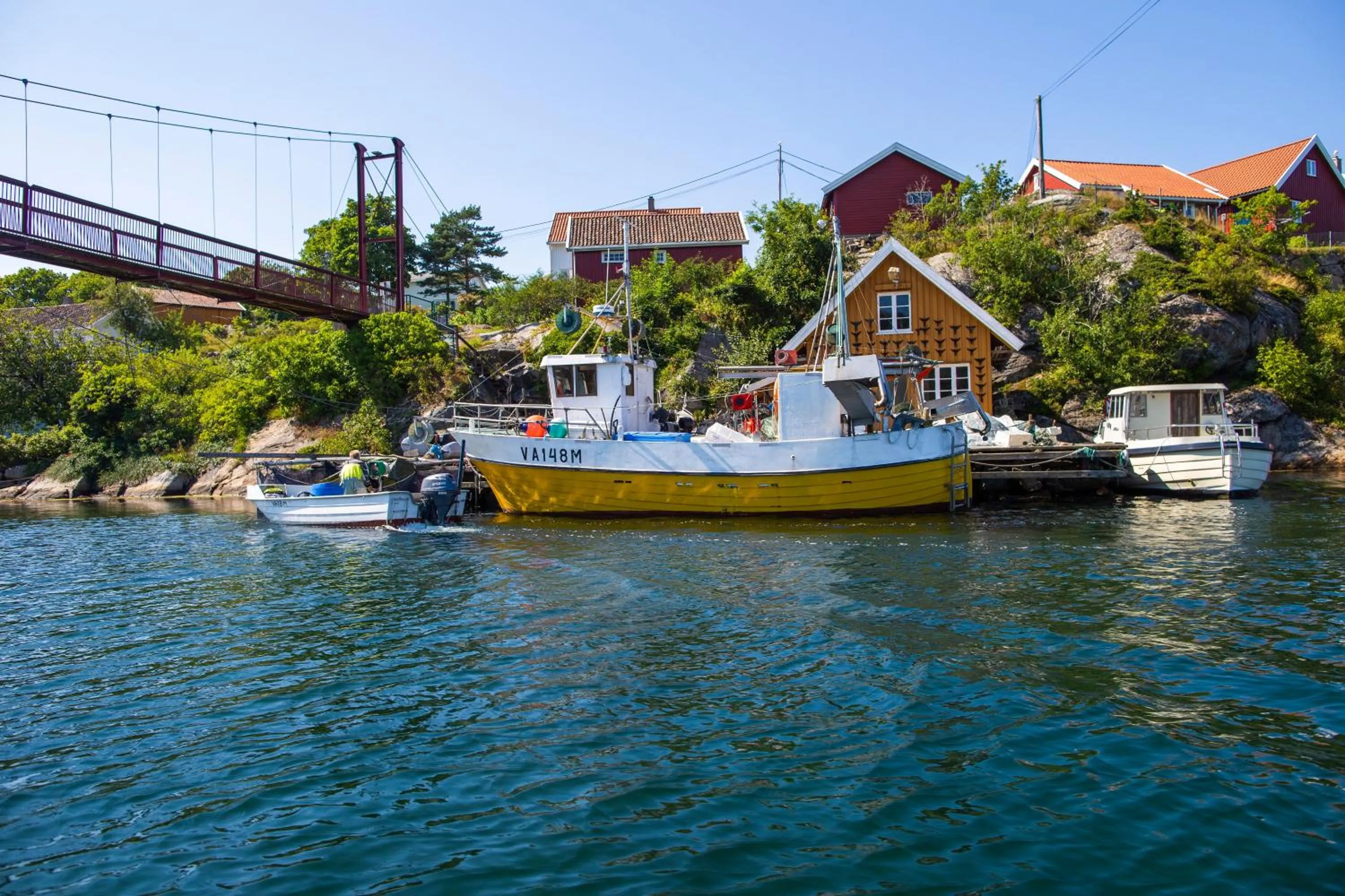 Natural landscape in SKAP Hostel Mandal