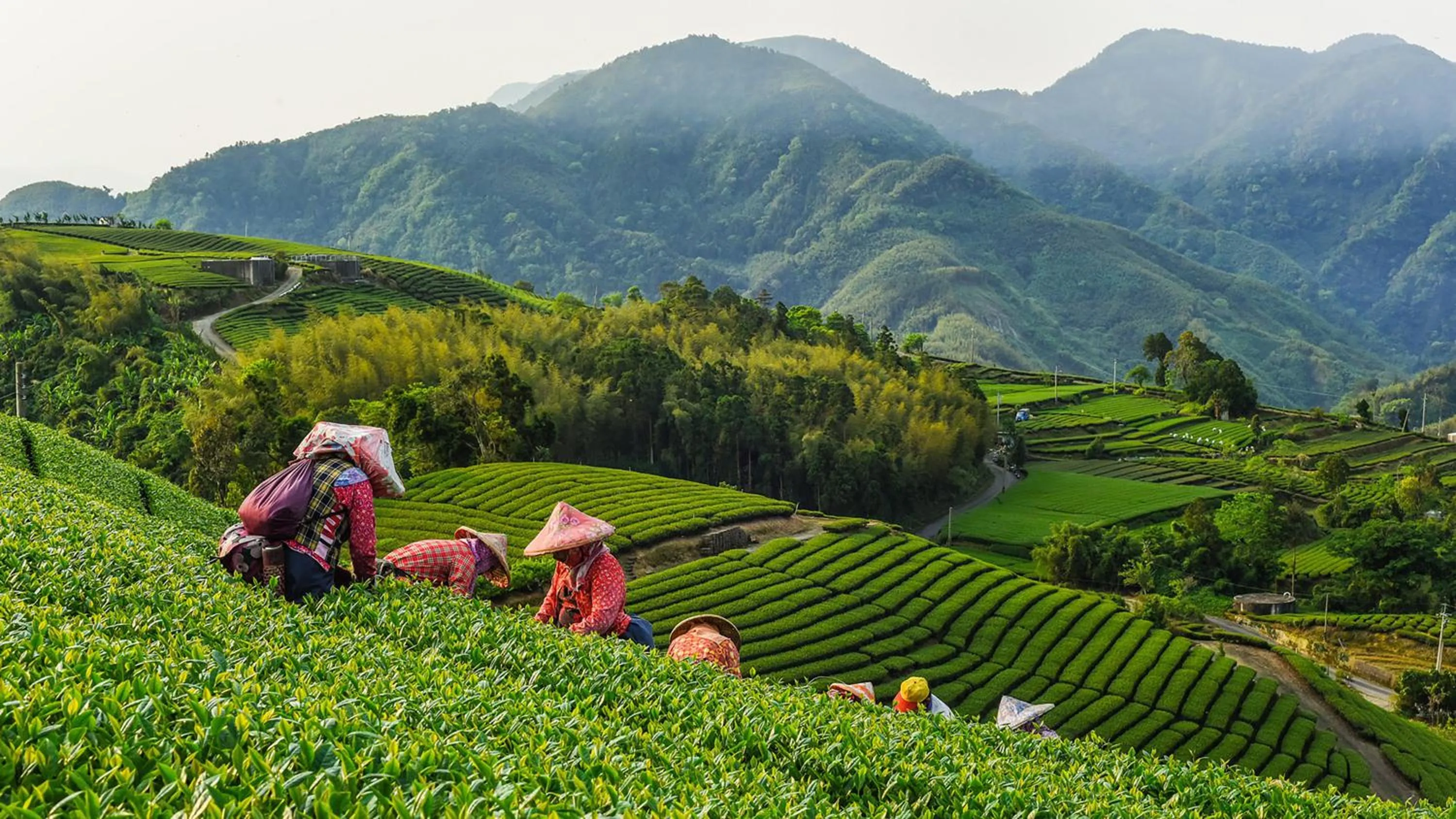 Nearby landmark in Hotel Indigo Alishan by IHG