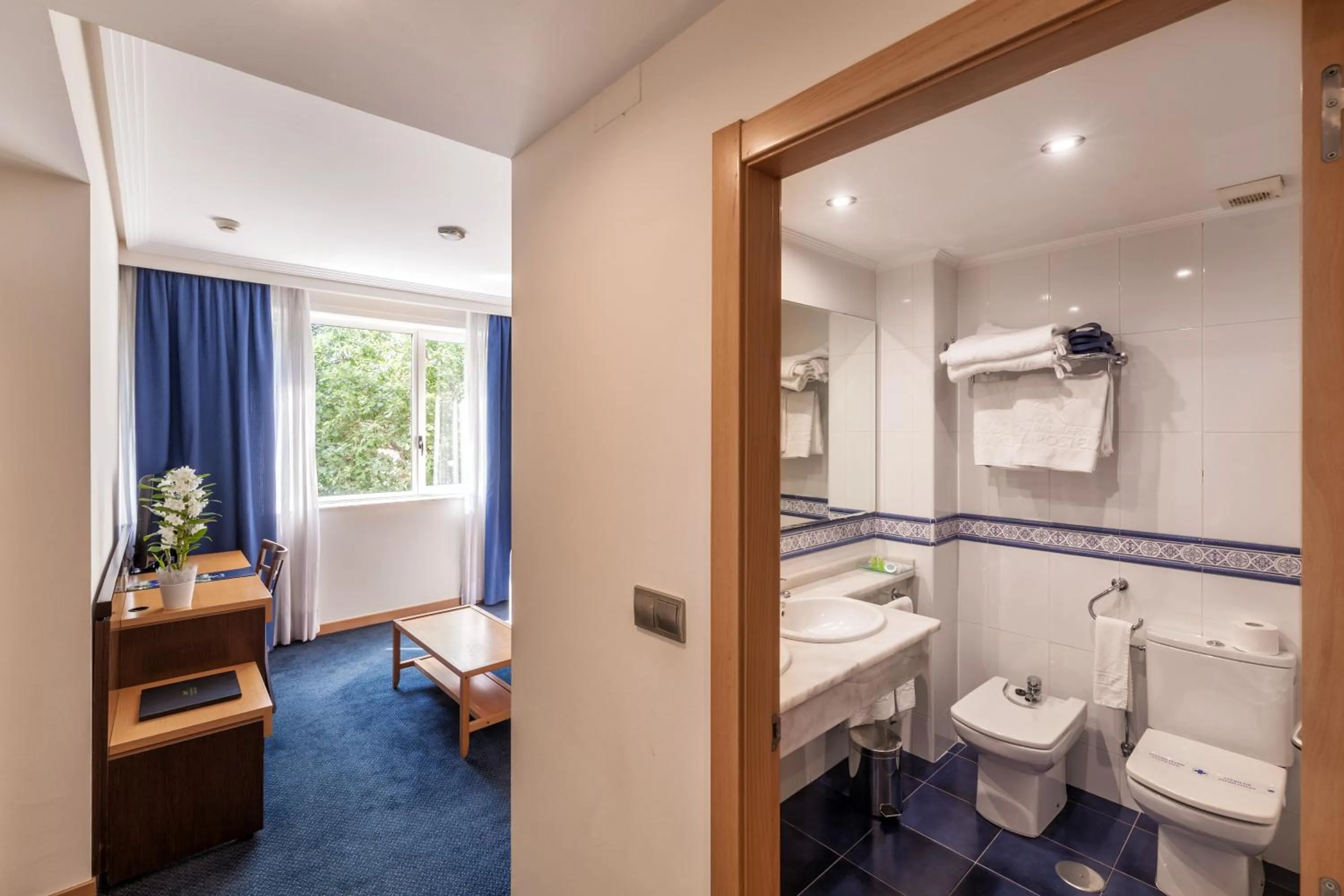 Toilet in Hotel Balneario de Compostela