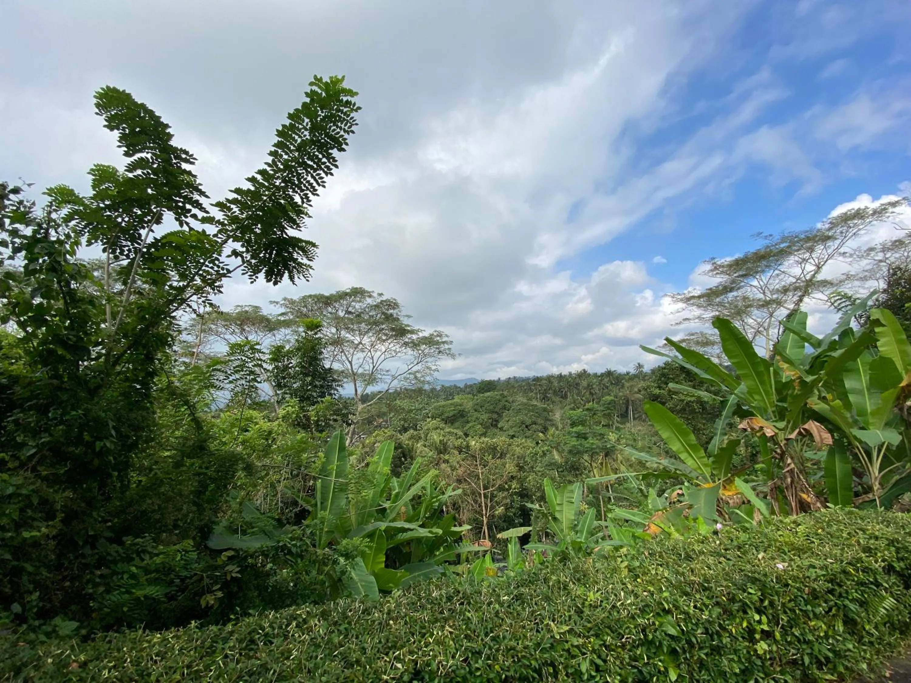Natural landscape in Geriasemalung