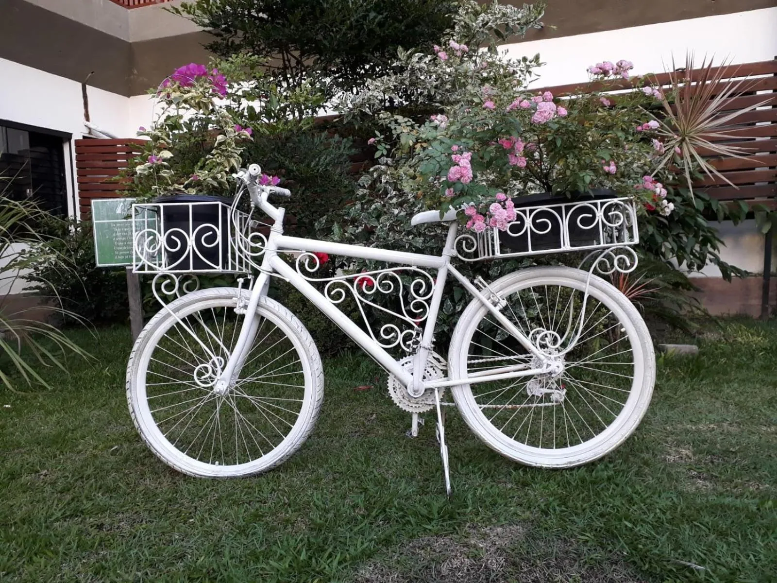 Garden in Alpes Hotel