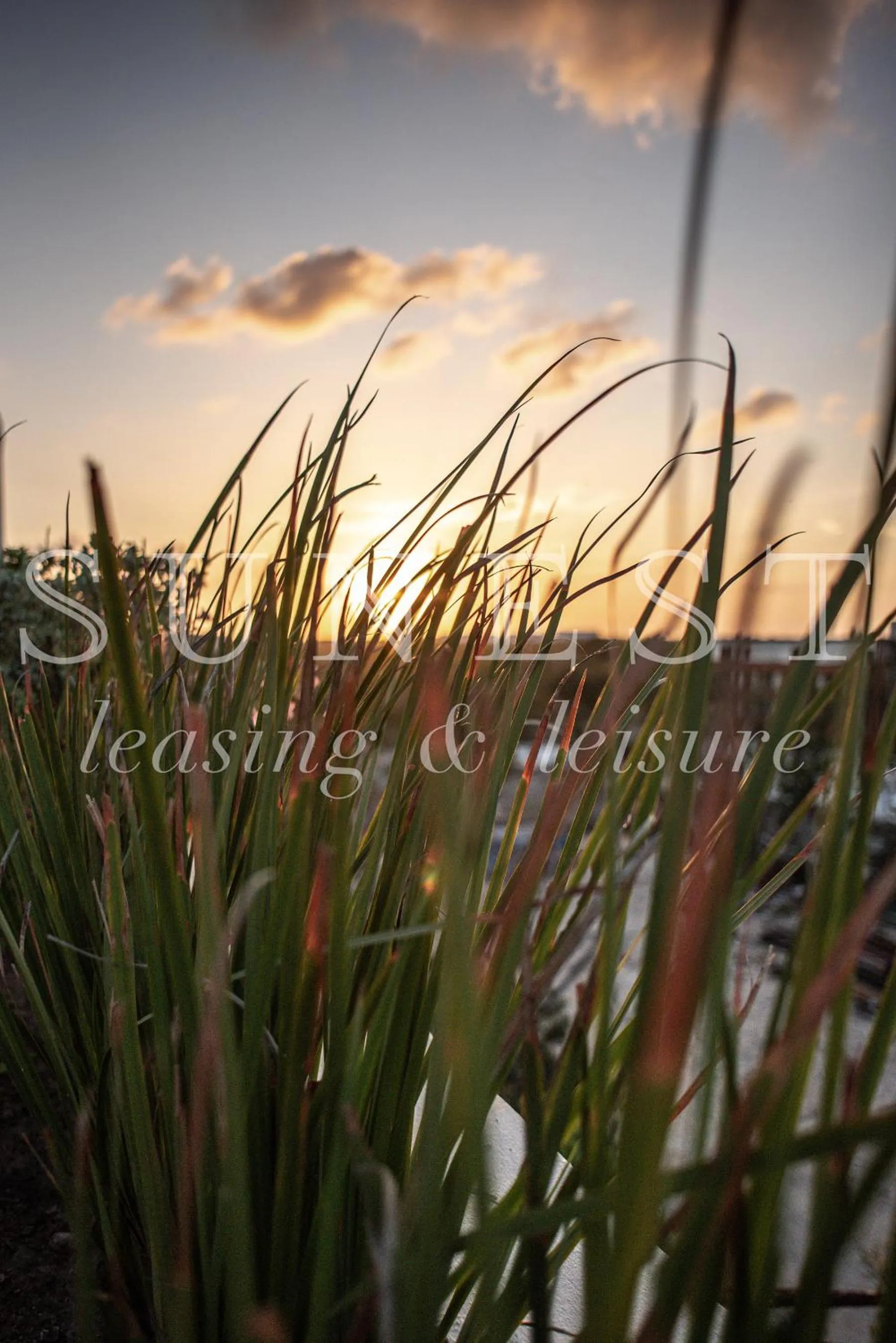View (from property/room) in Hunab Tulum