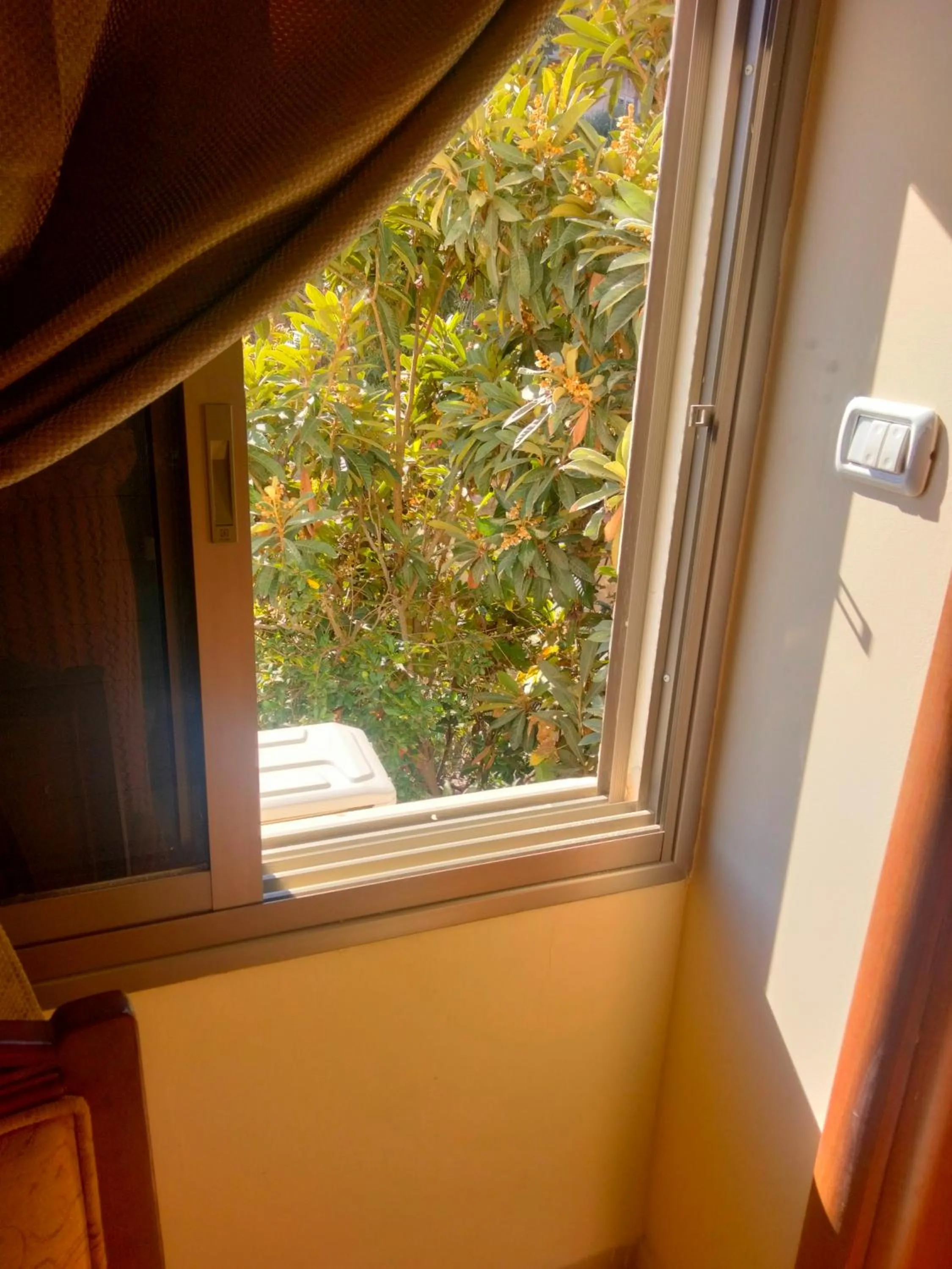 View (from property/room) in Seedi Yousef Hostel & Cafe