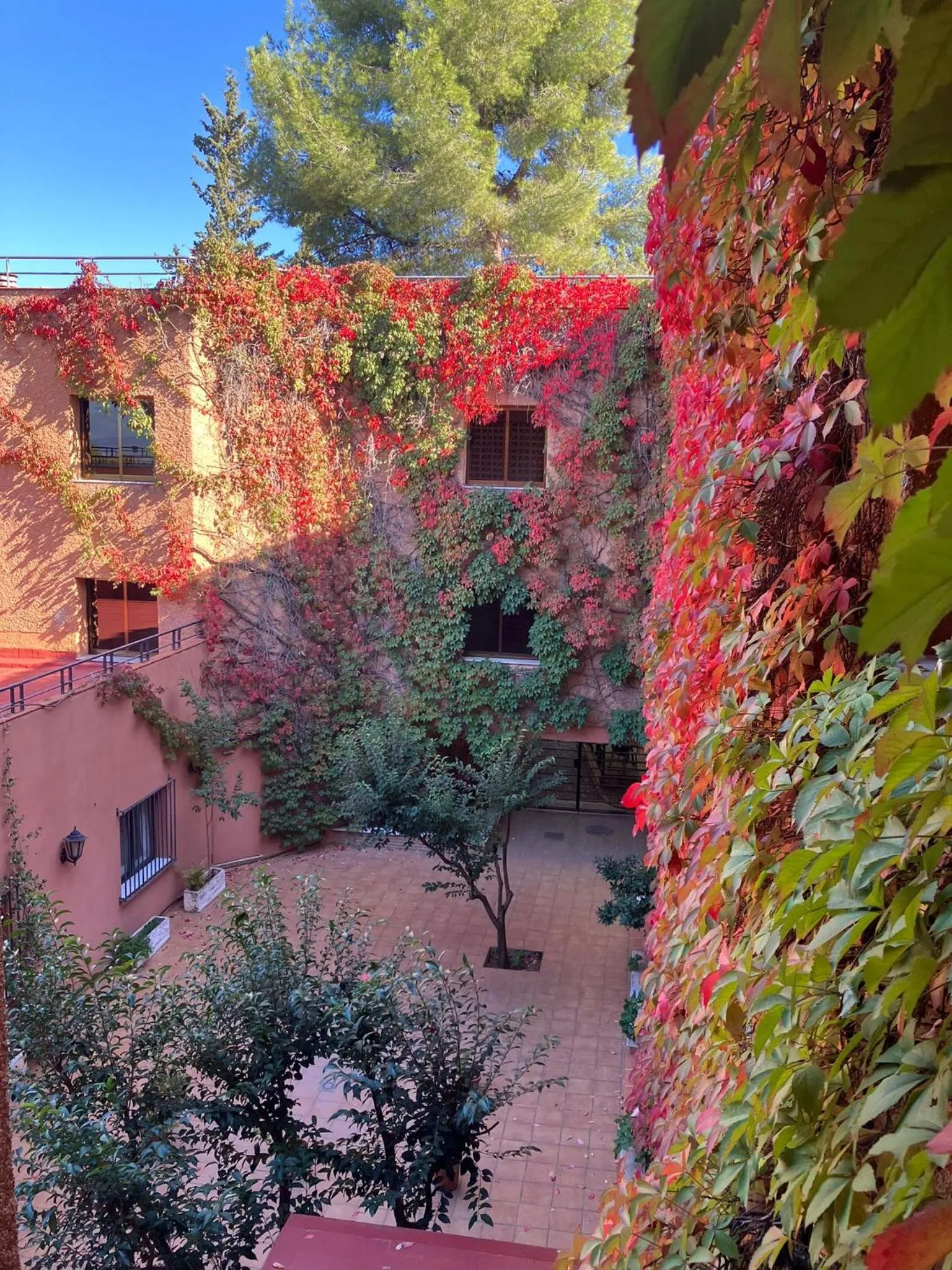 Garden in Porcel Alixares