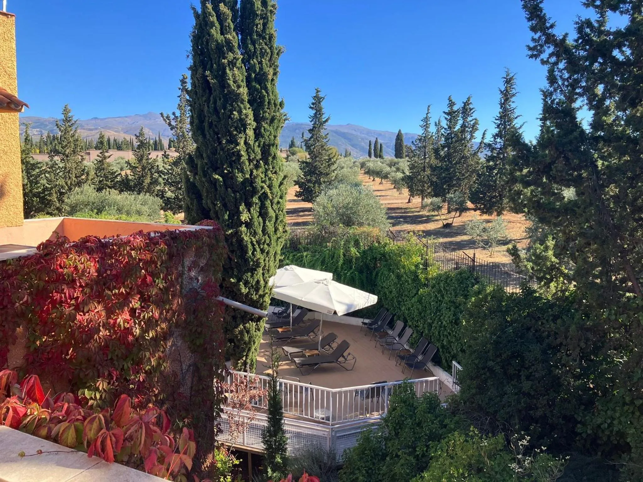 Garden in Porcel Alixares