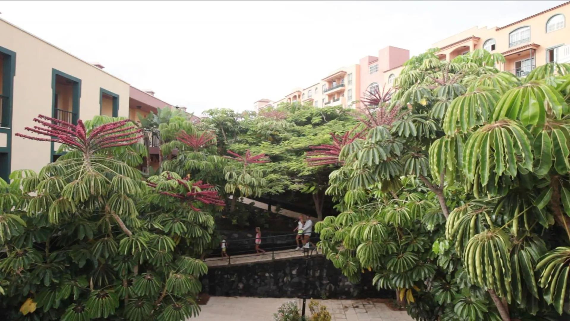 Day in Hotel-Apartamento Las Olas