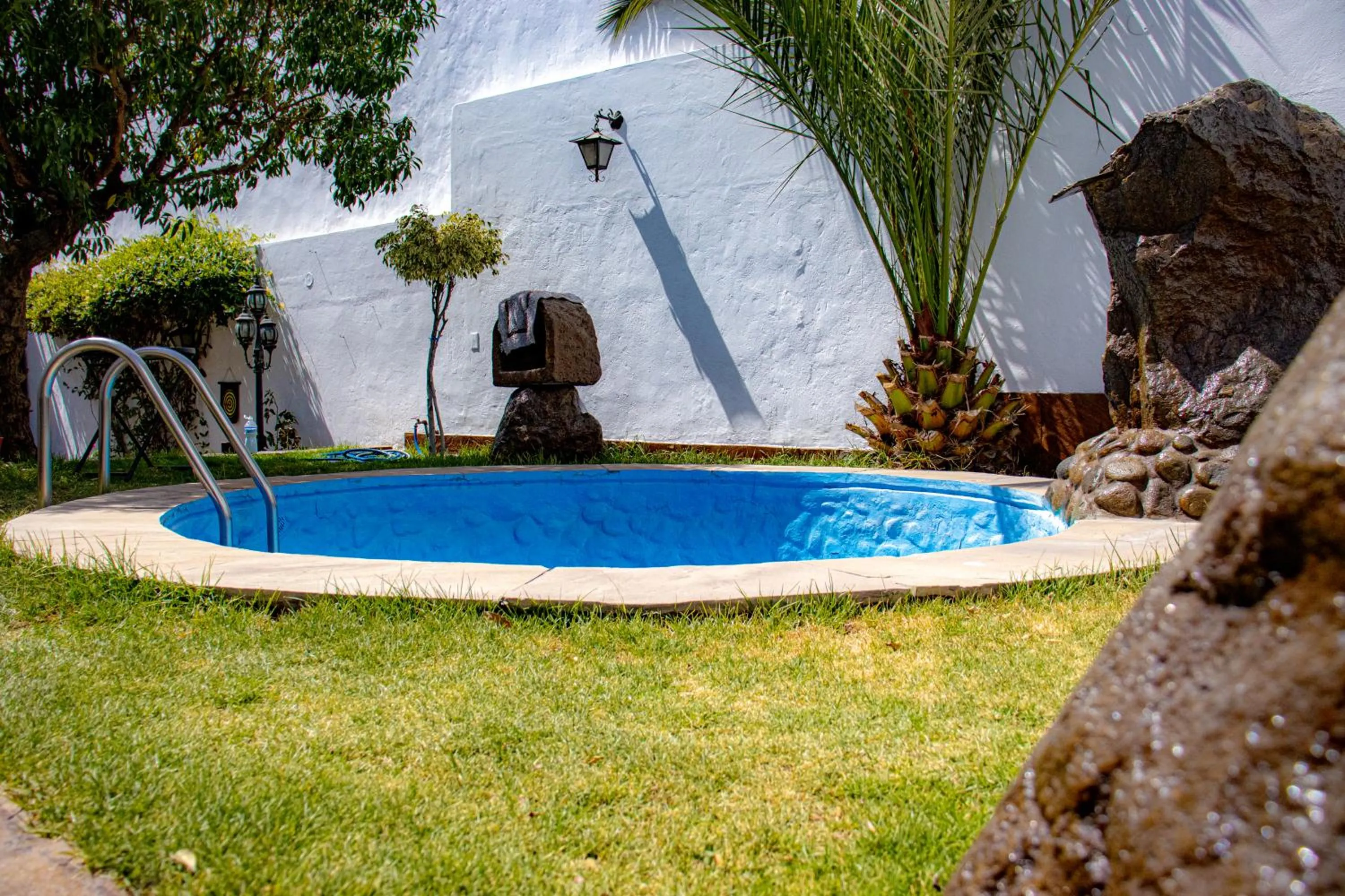 Garden in La casa de theo