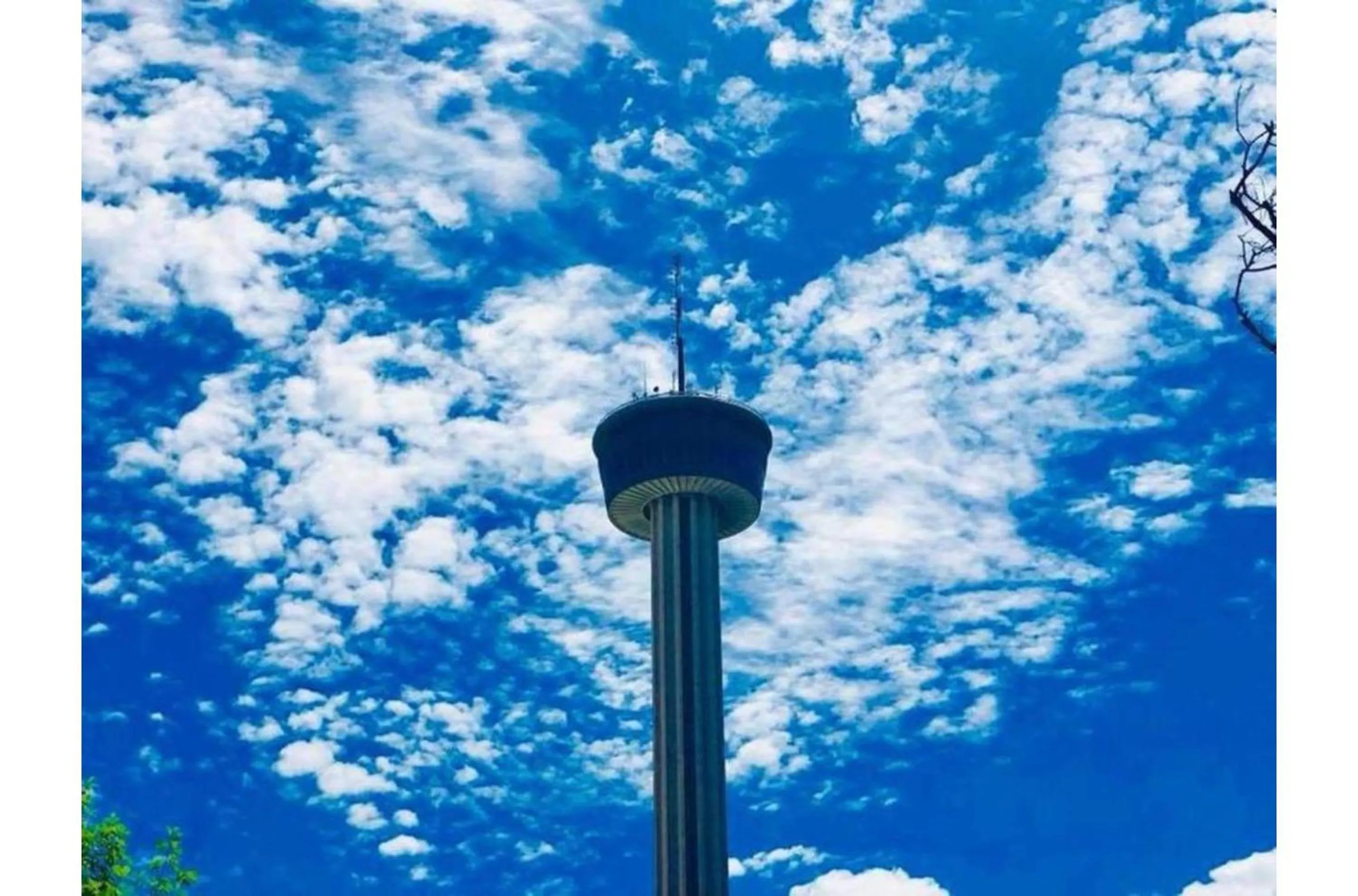 Other in Exceptional 5BR So Close to Riverwalk and Downtown