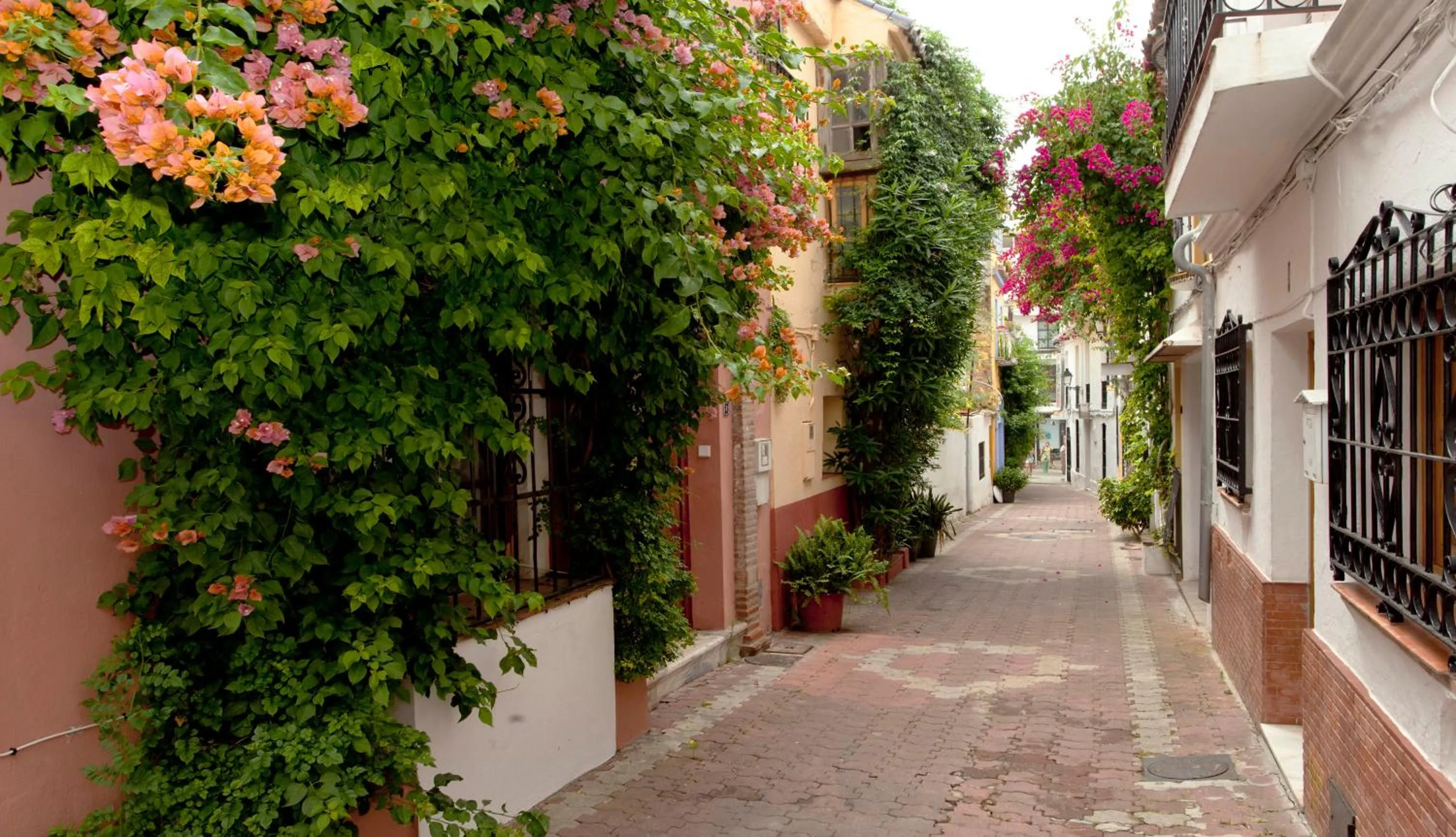 Street view in Puerta De Aduares