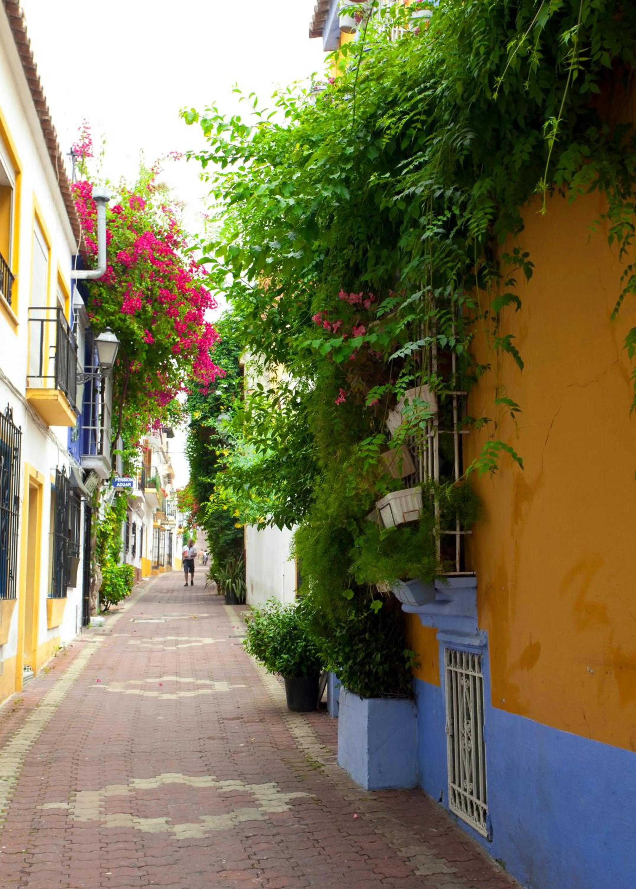 Street view in Puerta De Aduares