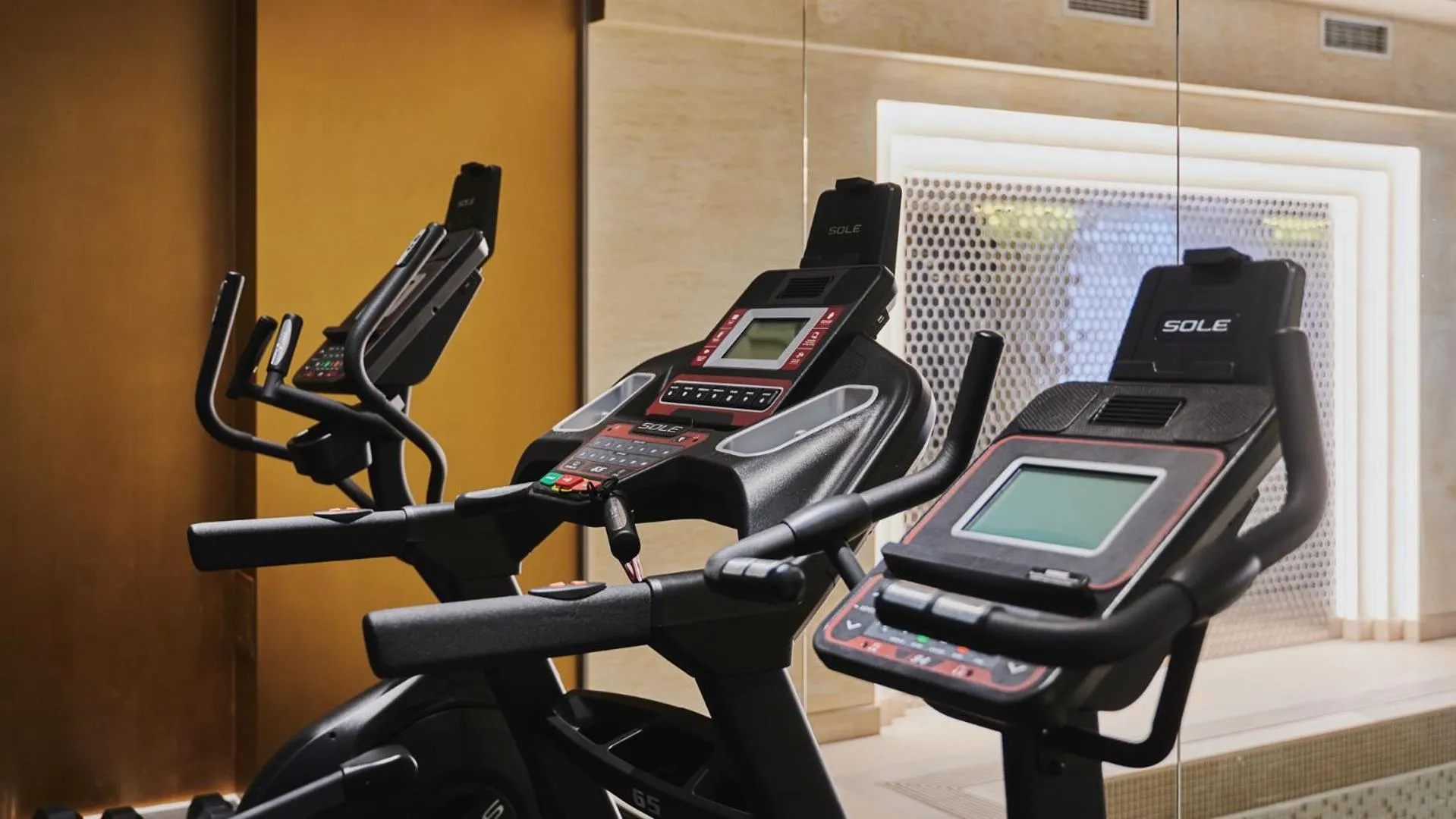 Fitness centre/facilities in Stay inn Hotel Warszawa