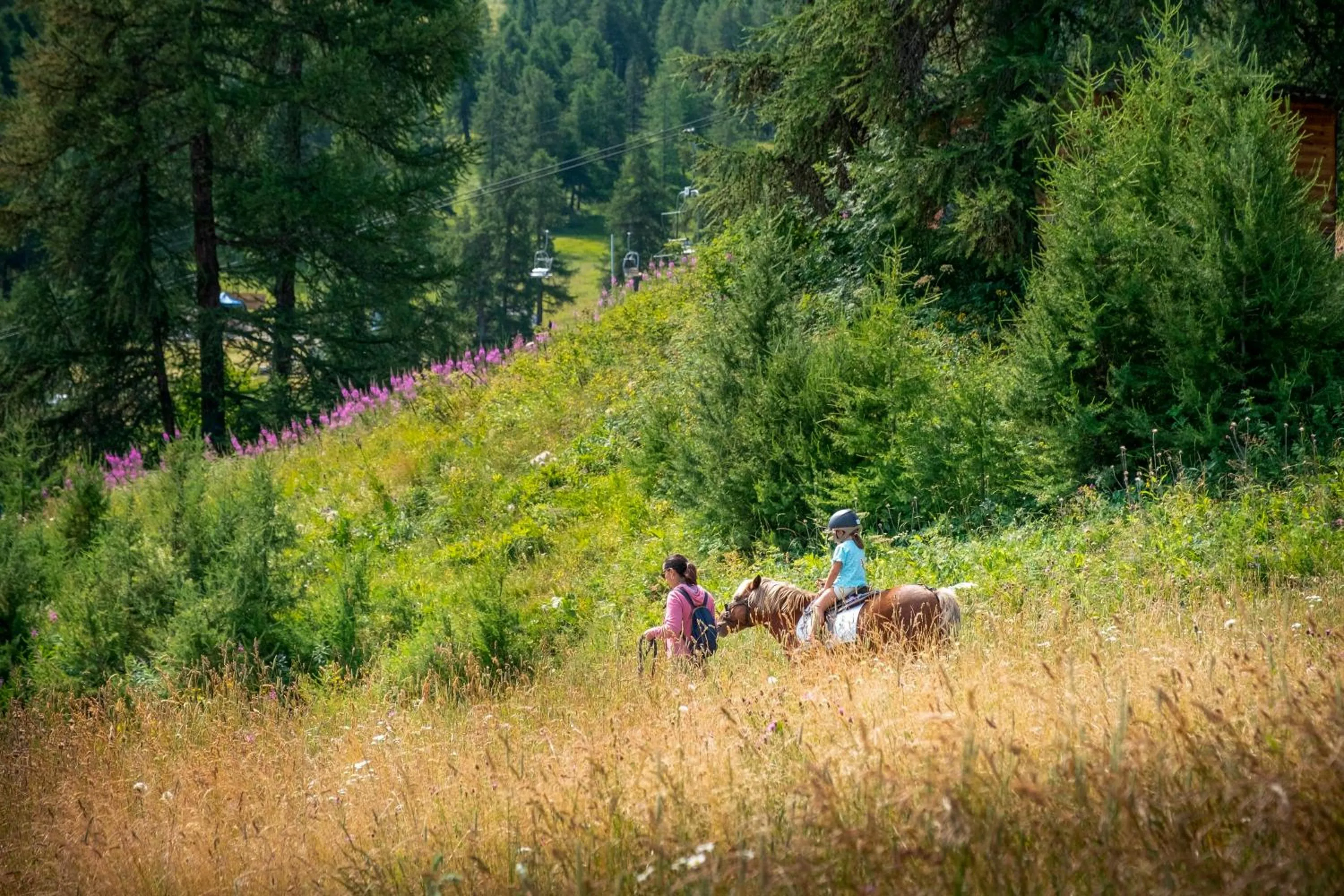 Activities in Résidence Club MMV Le Silvana